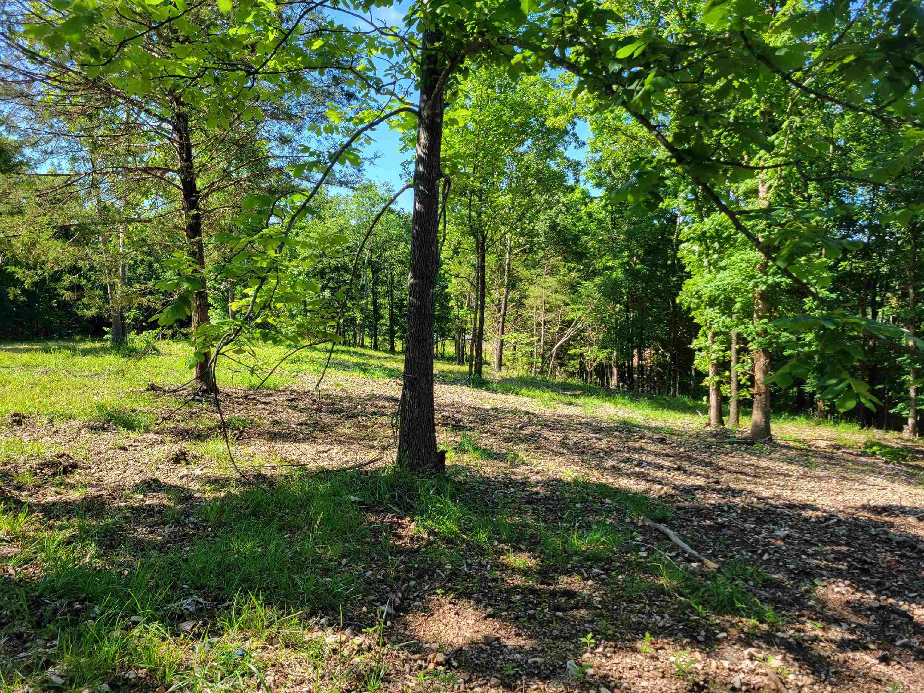 4411 Red Bluff  Marshall, AR