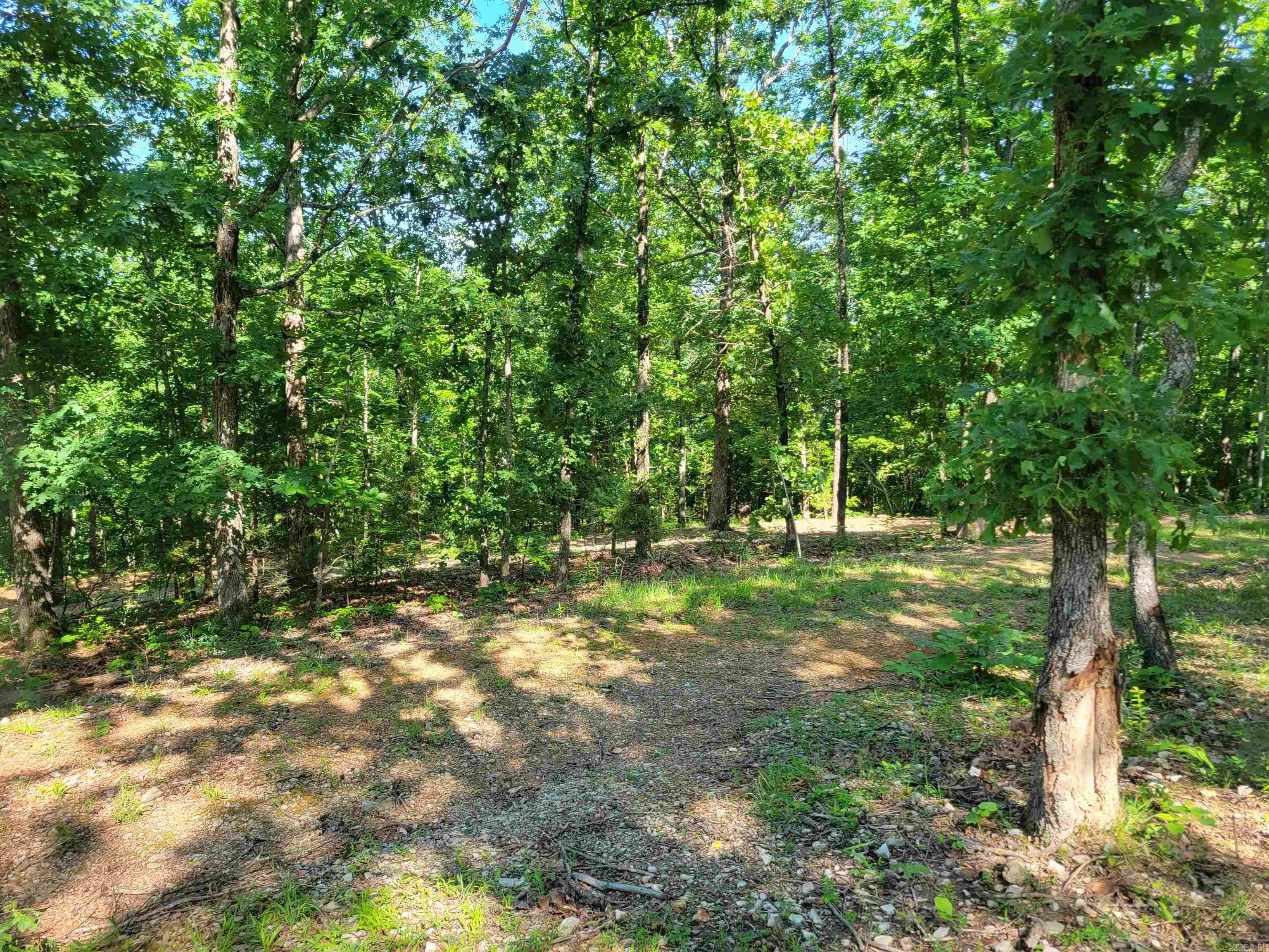 4411 Red Bluff  Marshall, AR