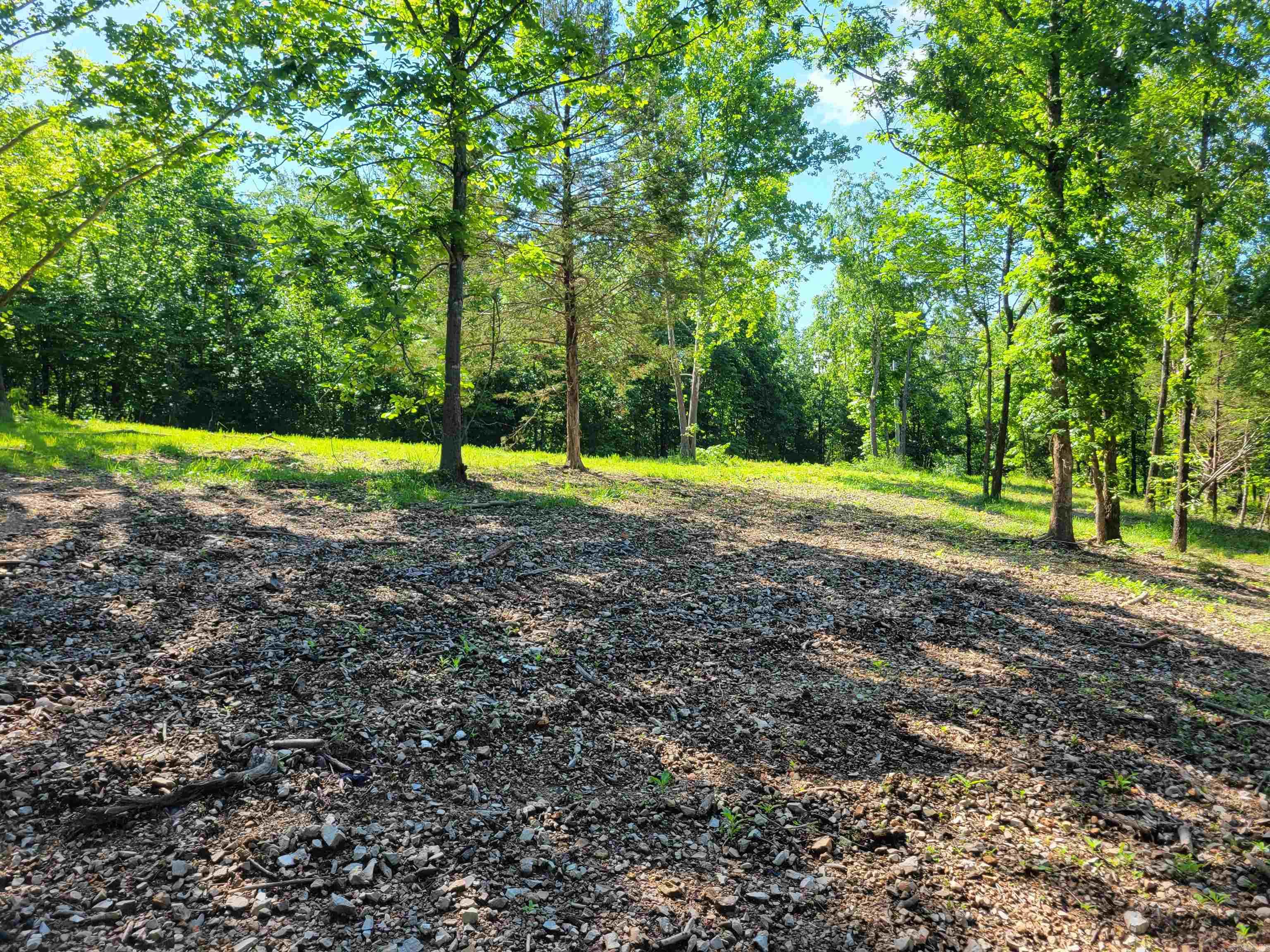 4411 Red Bluff  Marshall, AR