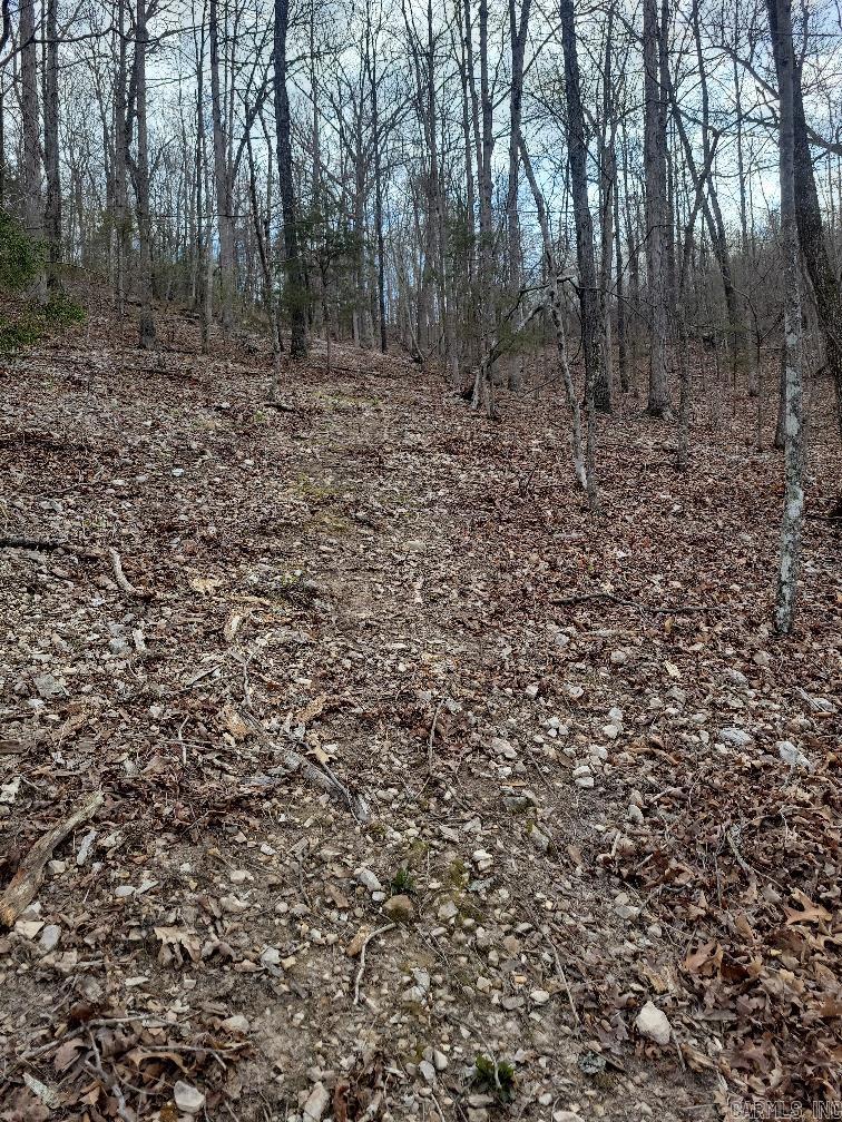 4411  Red Bluff  Marshall, AR