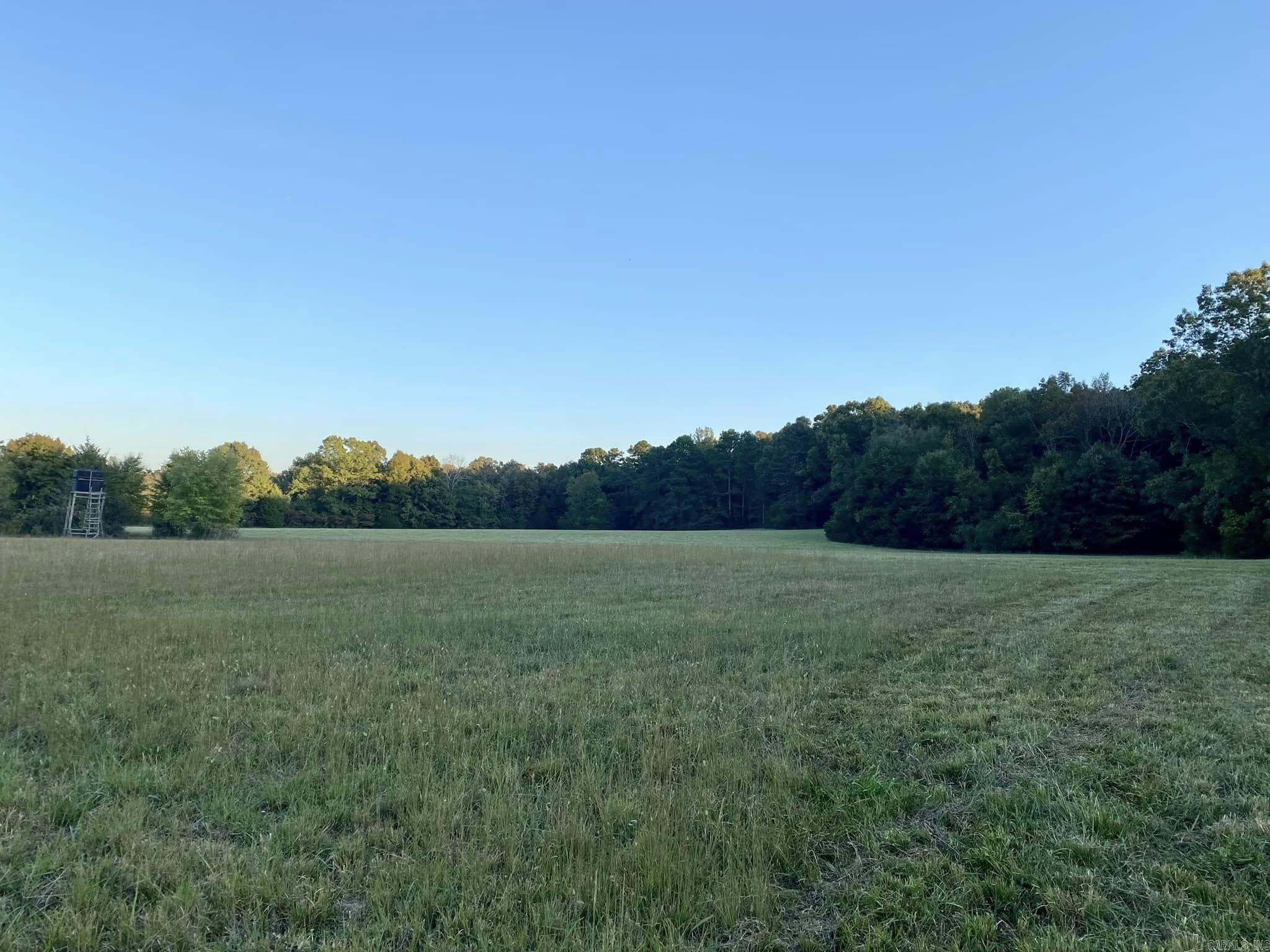 206  Manning  Mt. Vernon, AR