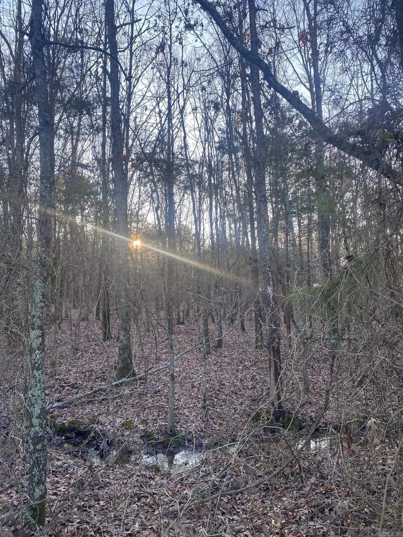 206  Manning  Mt. Vernon, AR