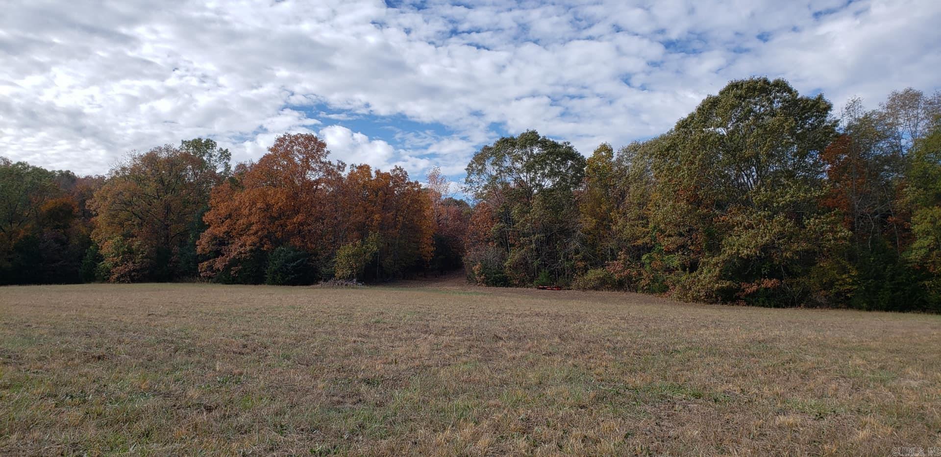 206  Manning  Mt. Vernon, AR