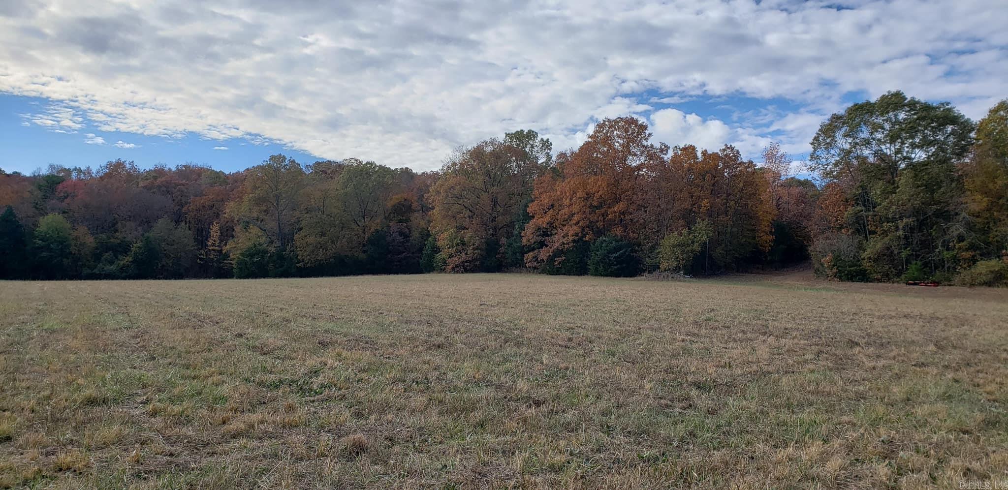206  Manning  Mt. Vernon, AR
