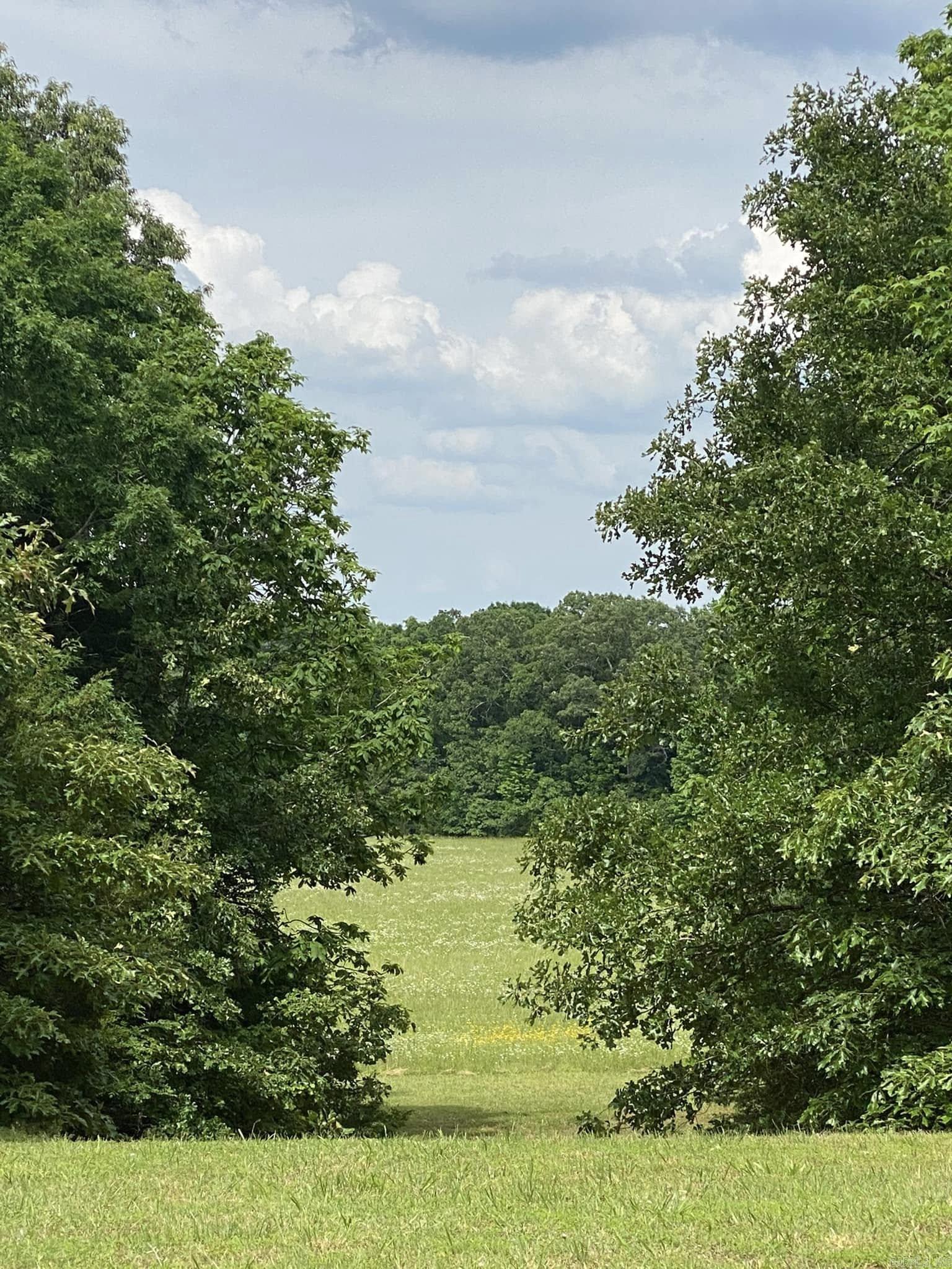 206  Manning  Mt. Vernon, AR