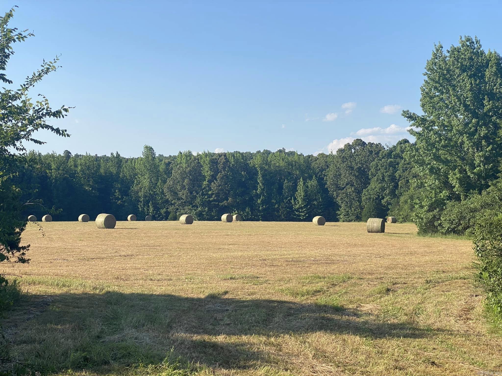 206  Manning  Mt. Vernon, AR