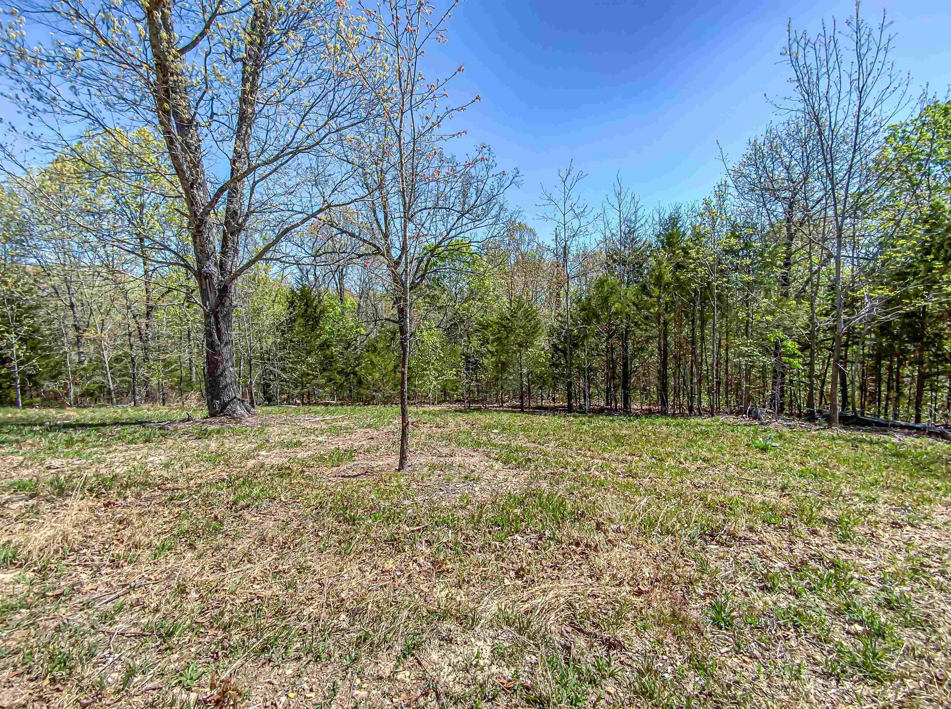 5703  MC 5004  Valley Springs, AR