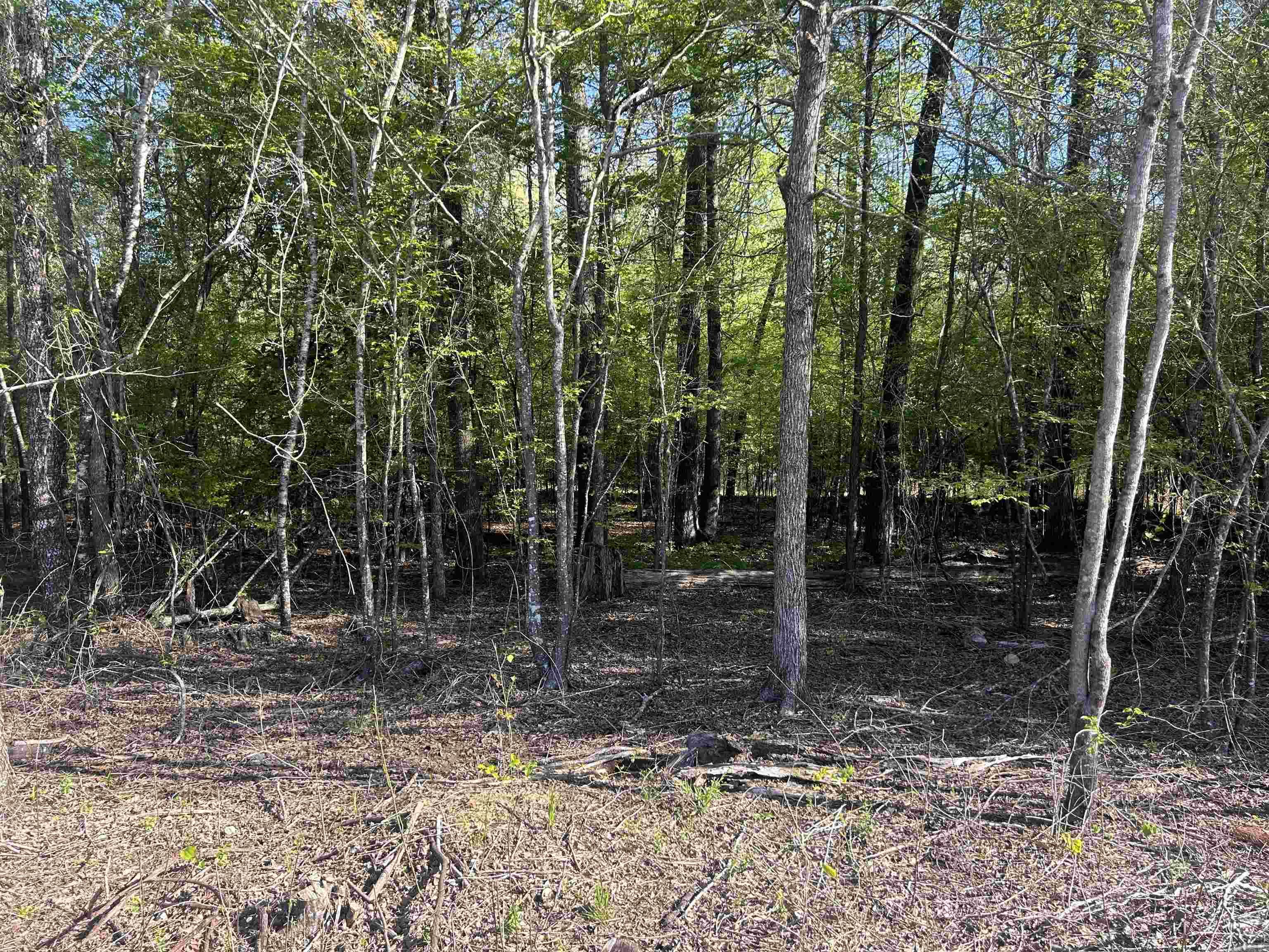 0  Gum Street (Tract 3)  Sheridan, AR
