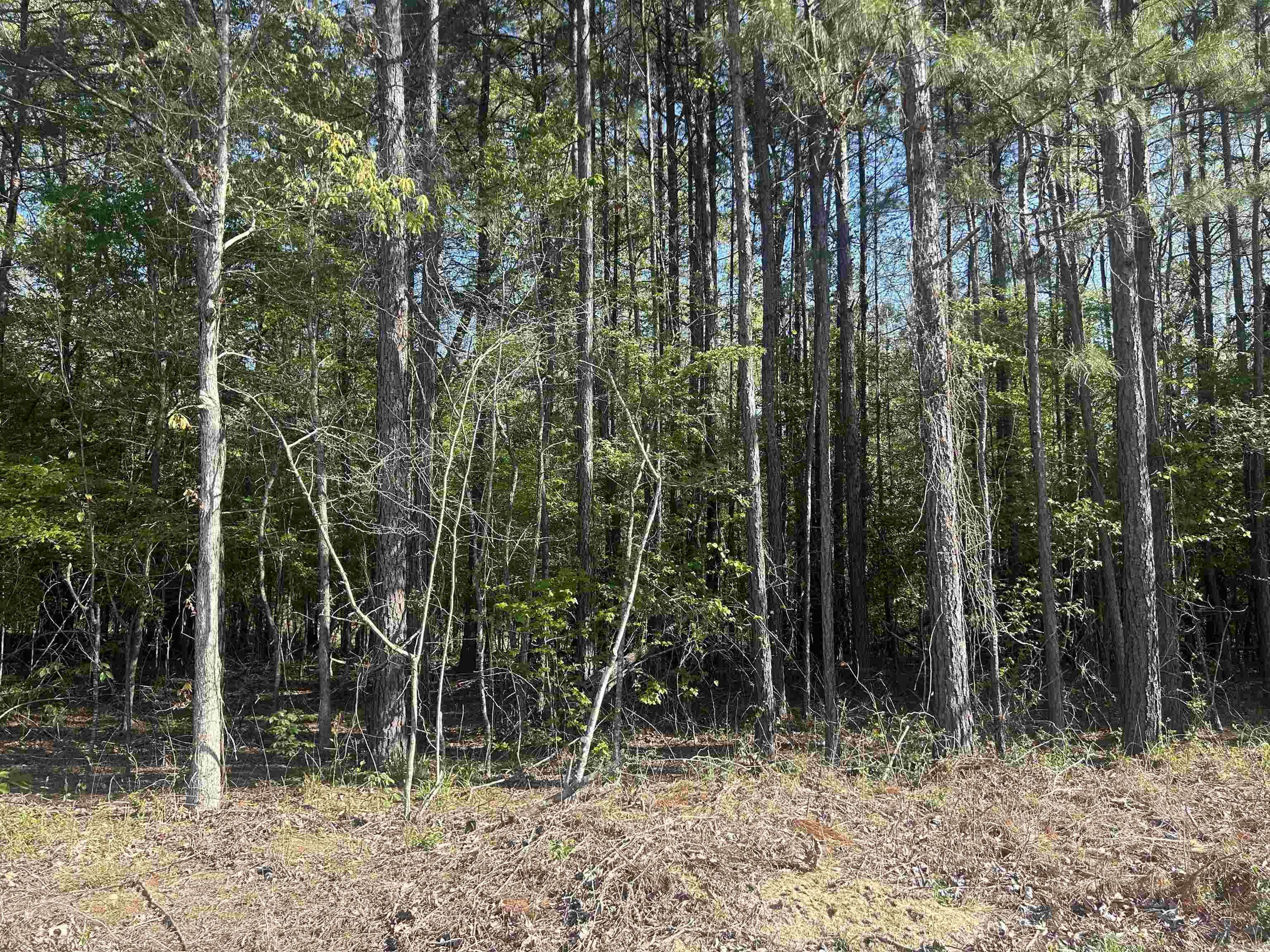 0  Gum Street (Tract 3)  Sheridan, AR