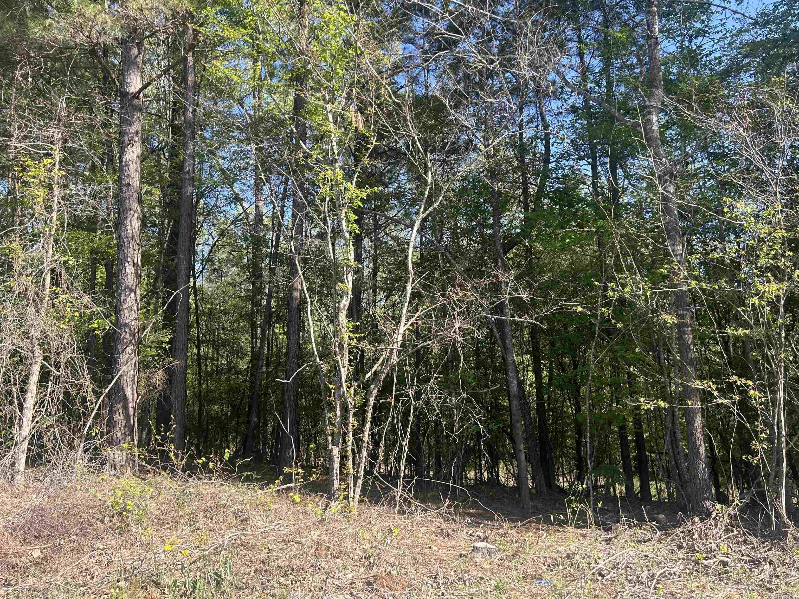 0  Gum Street (Tract 3)  Sheridan, AR