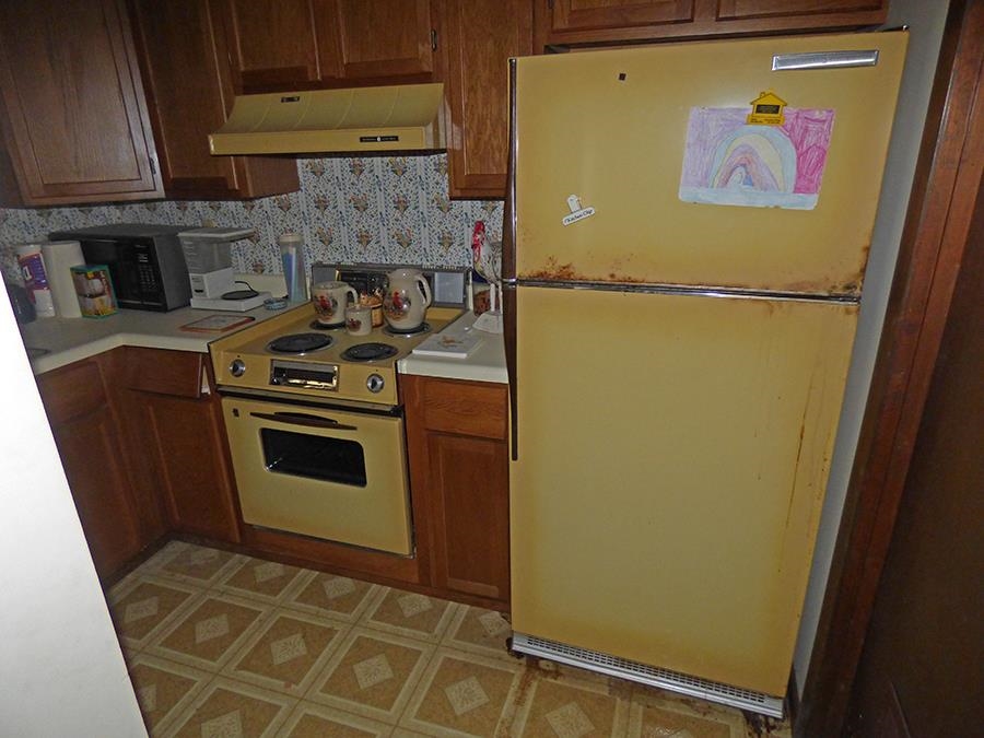 16  Annette  Cherokee Village, AR