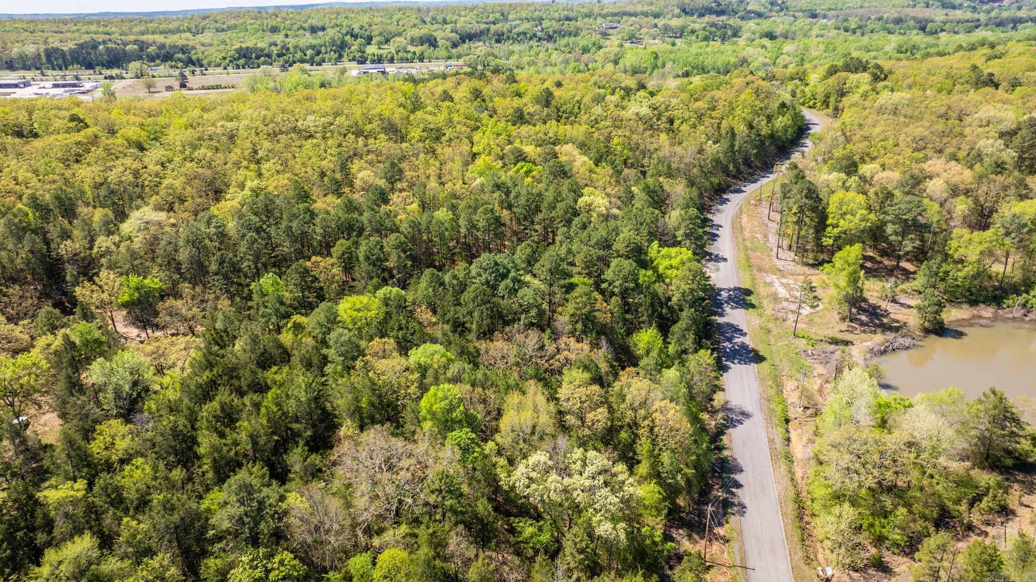 0000  Gold Mine Springs Road  Conway, AR