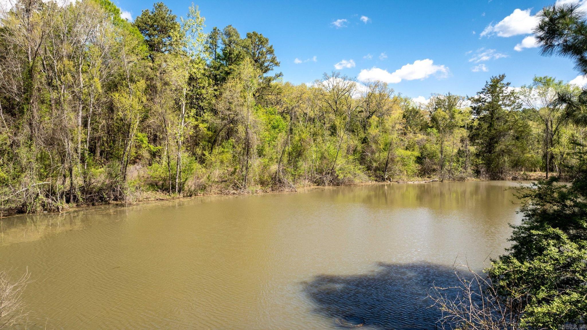 0000  Gold Mine Springs Road  Conway, AR