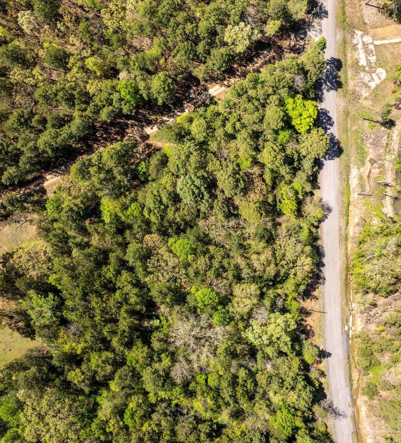0000  Gold Mine Springs Road  Conway, AR