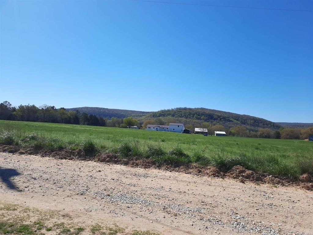 887  Annette  Mountain View, AR