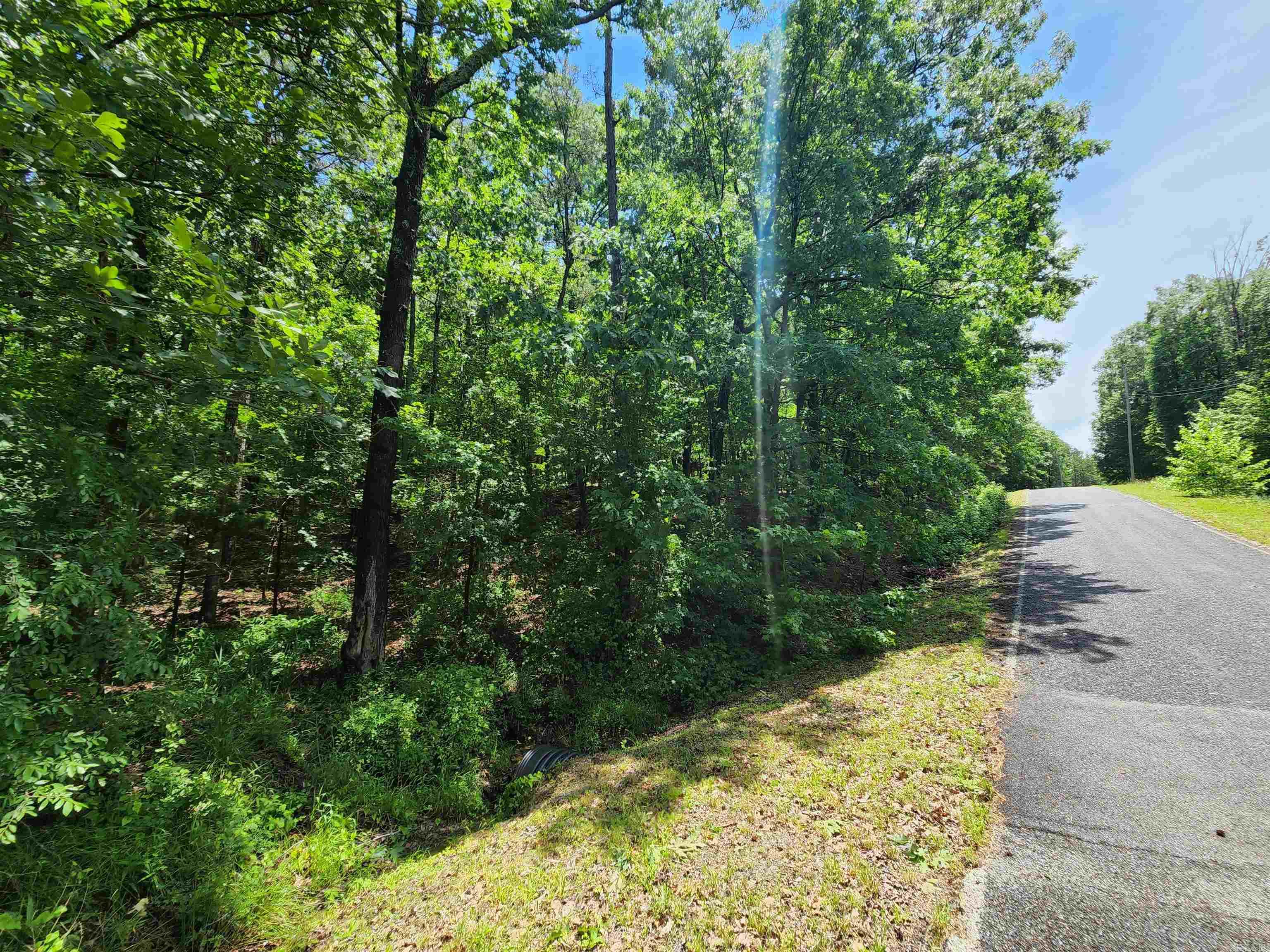 0  Timber  Fairfield Bay, AR