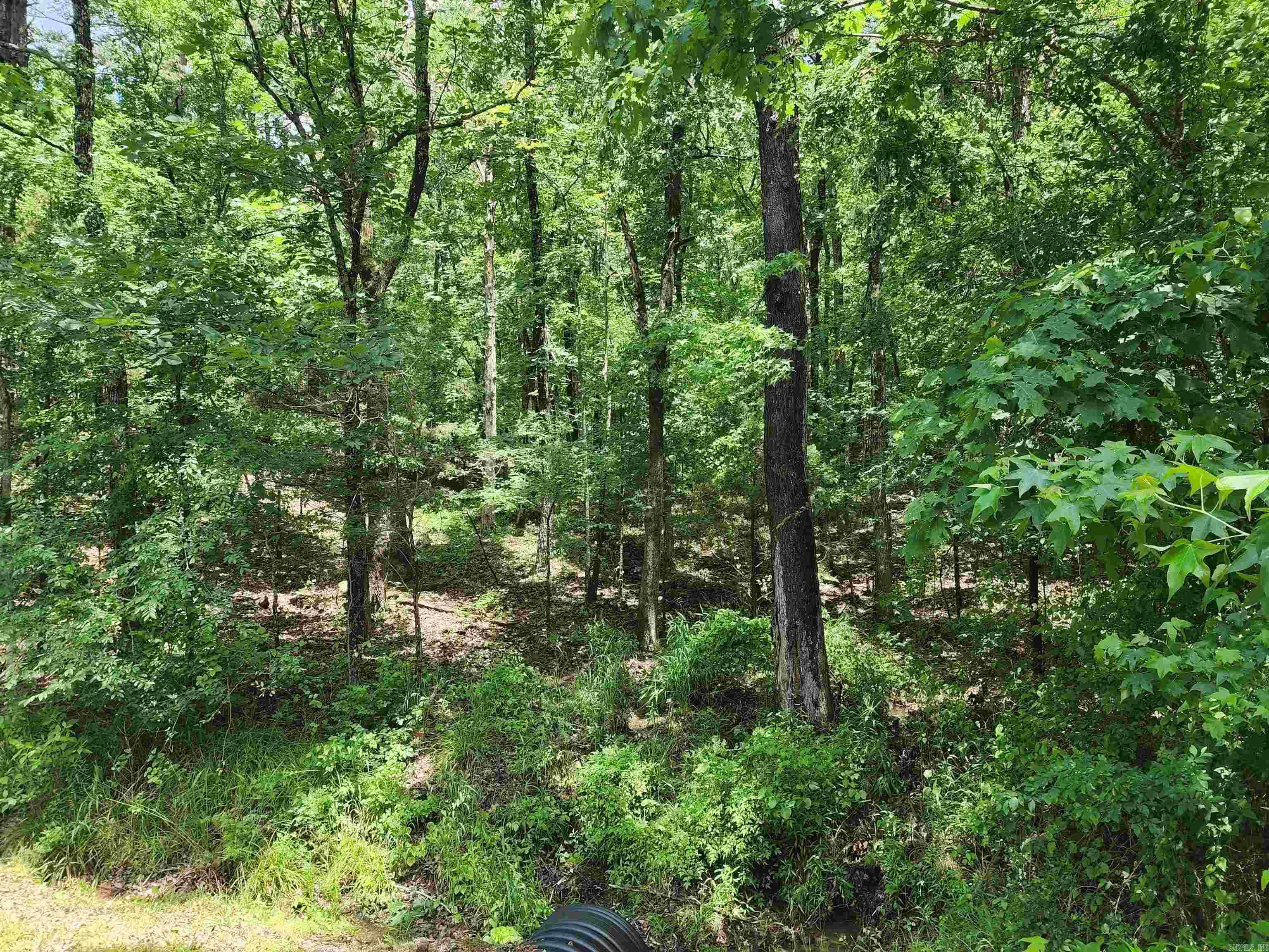 0  Timber  Fairfield Bay, AR