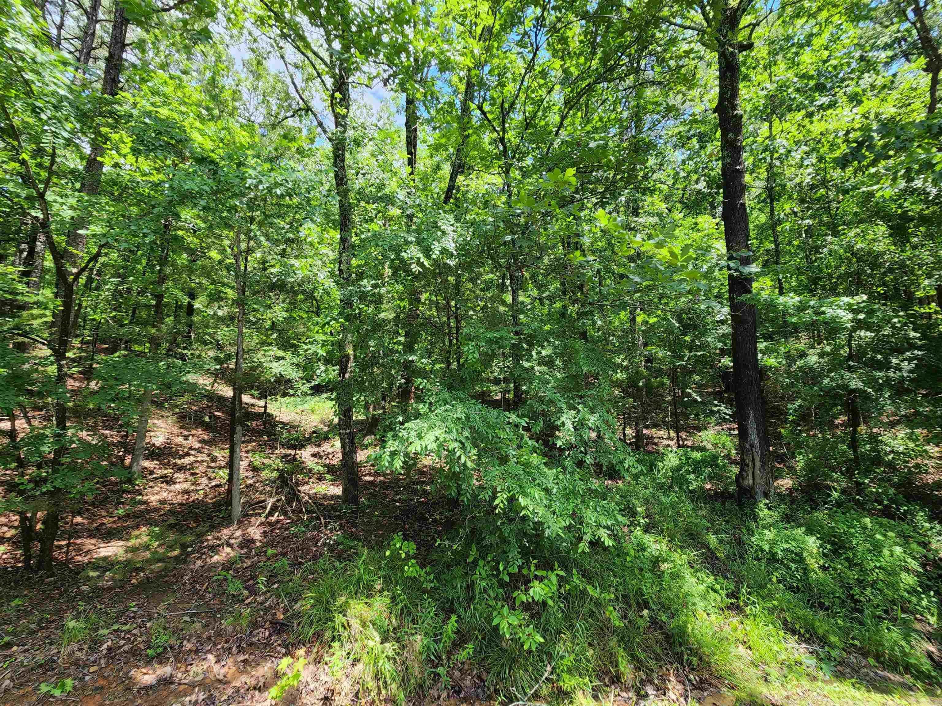 0  Timber  Fairfield Bay, AR