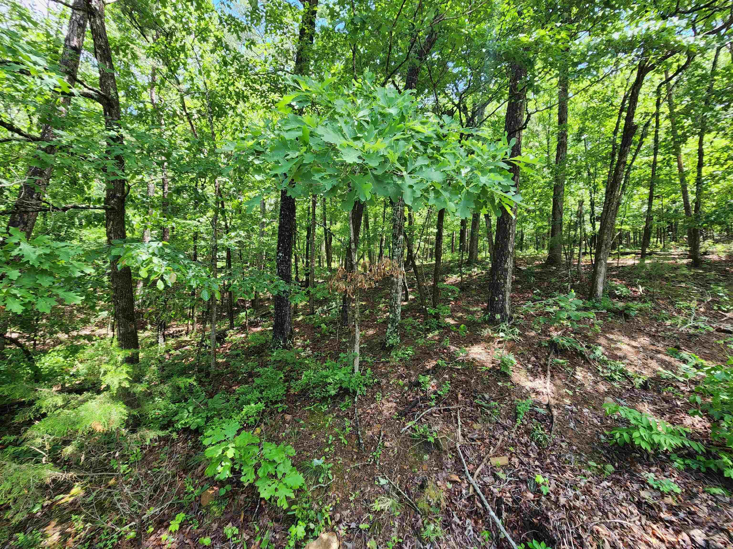 0  Timber  Fairfield Bay, AR