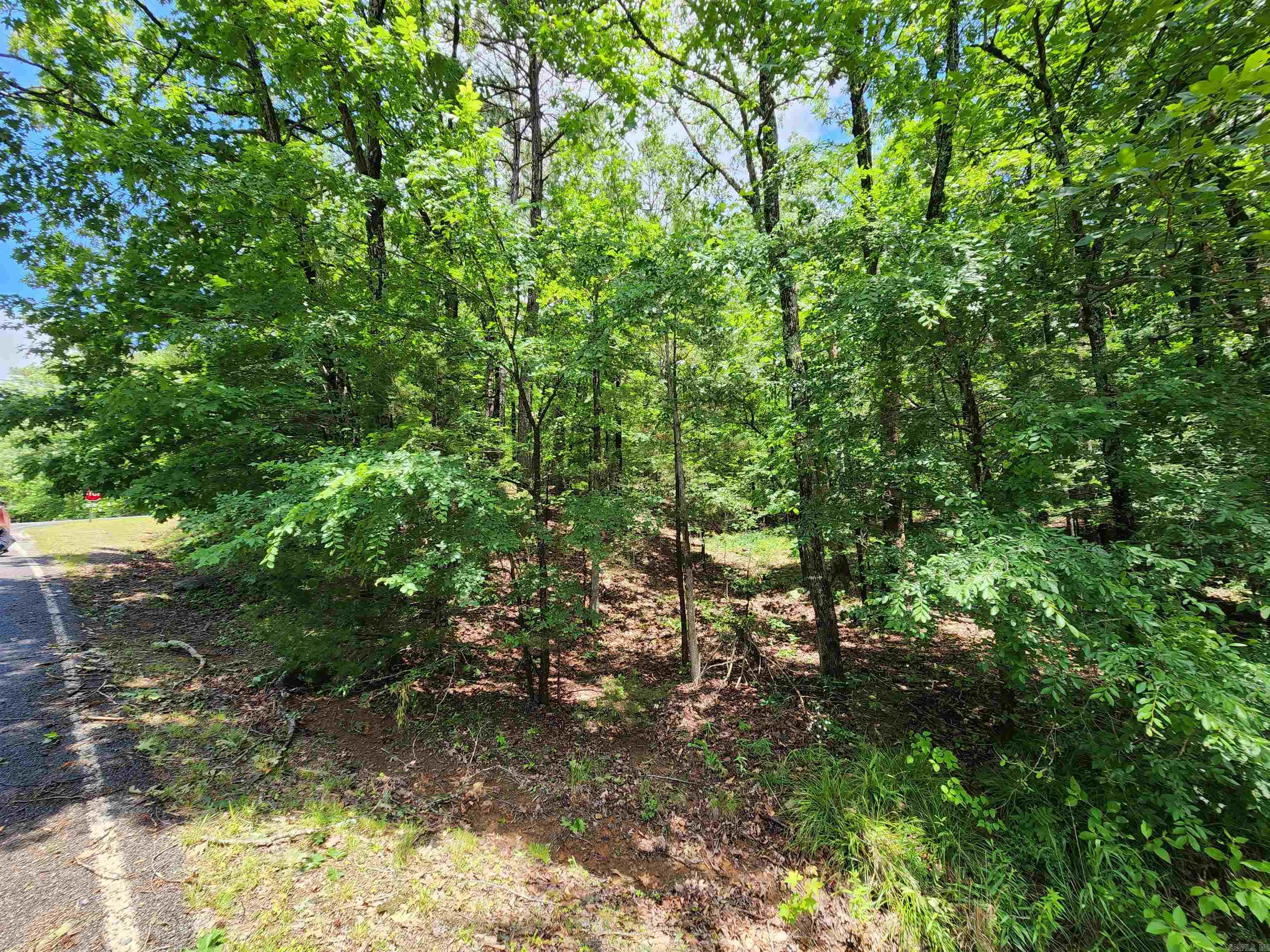 0  Timber  Fairfield Bay, AR