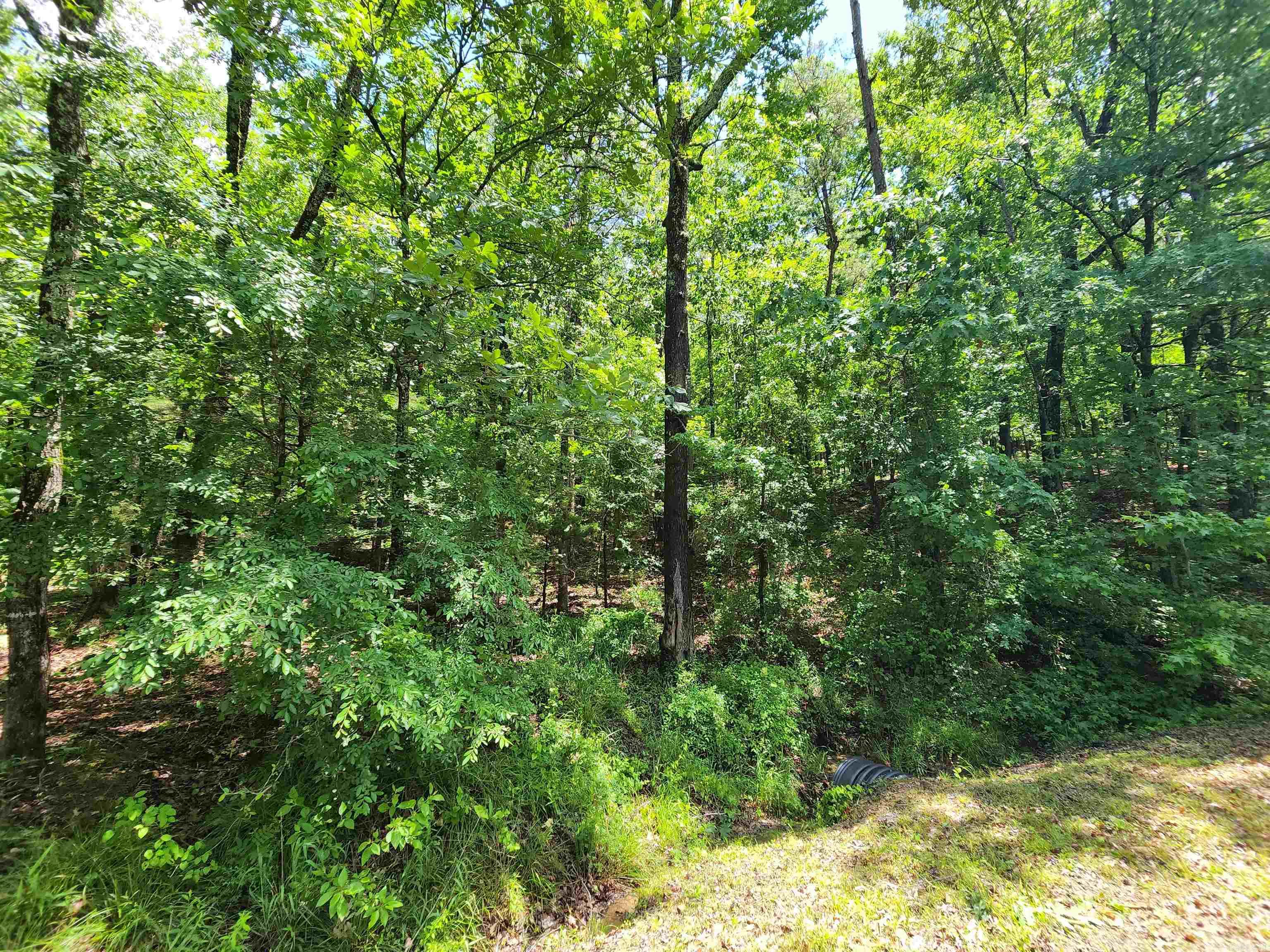 0  Timber  Fairfield Bay, AR
