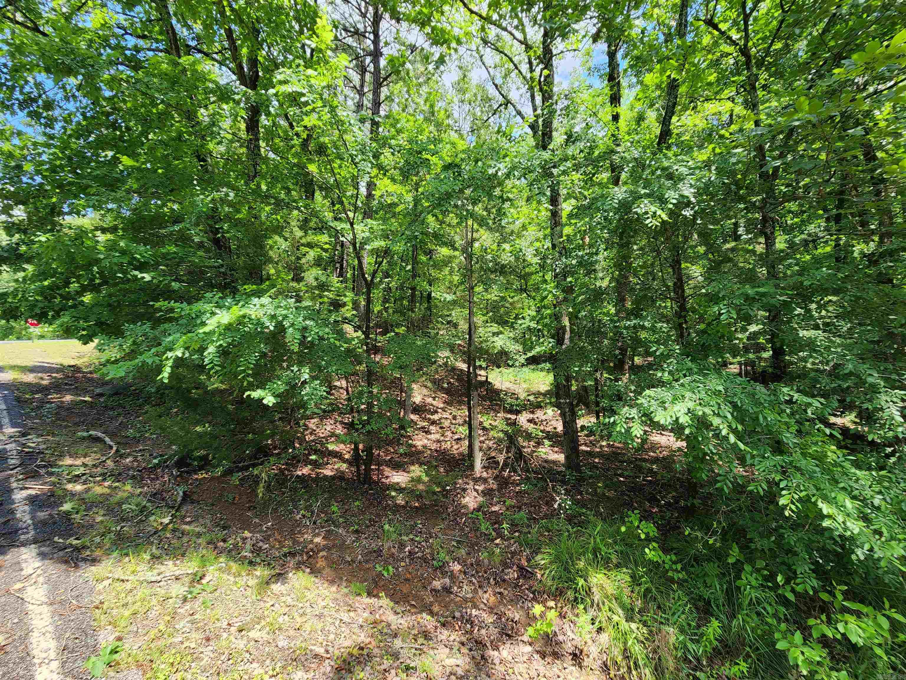 0  Timber  Fairfield Bay, AR