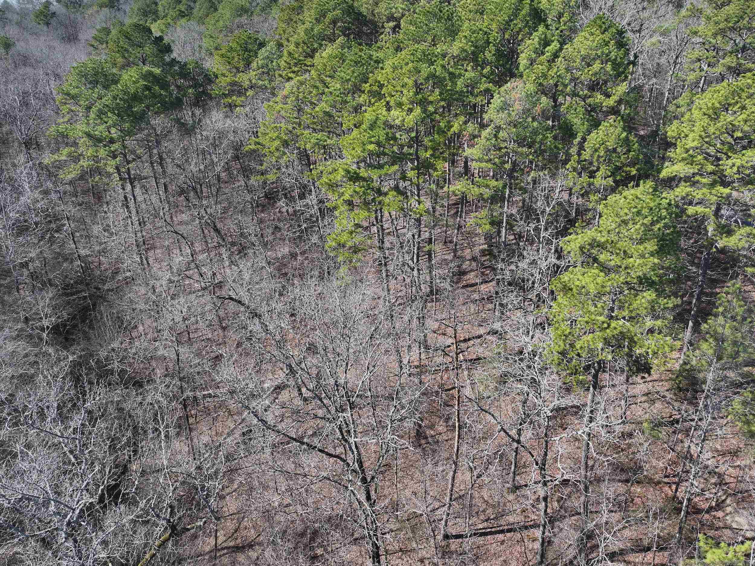 105  Diamond  Hot Springs, AR