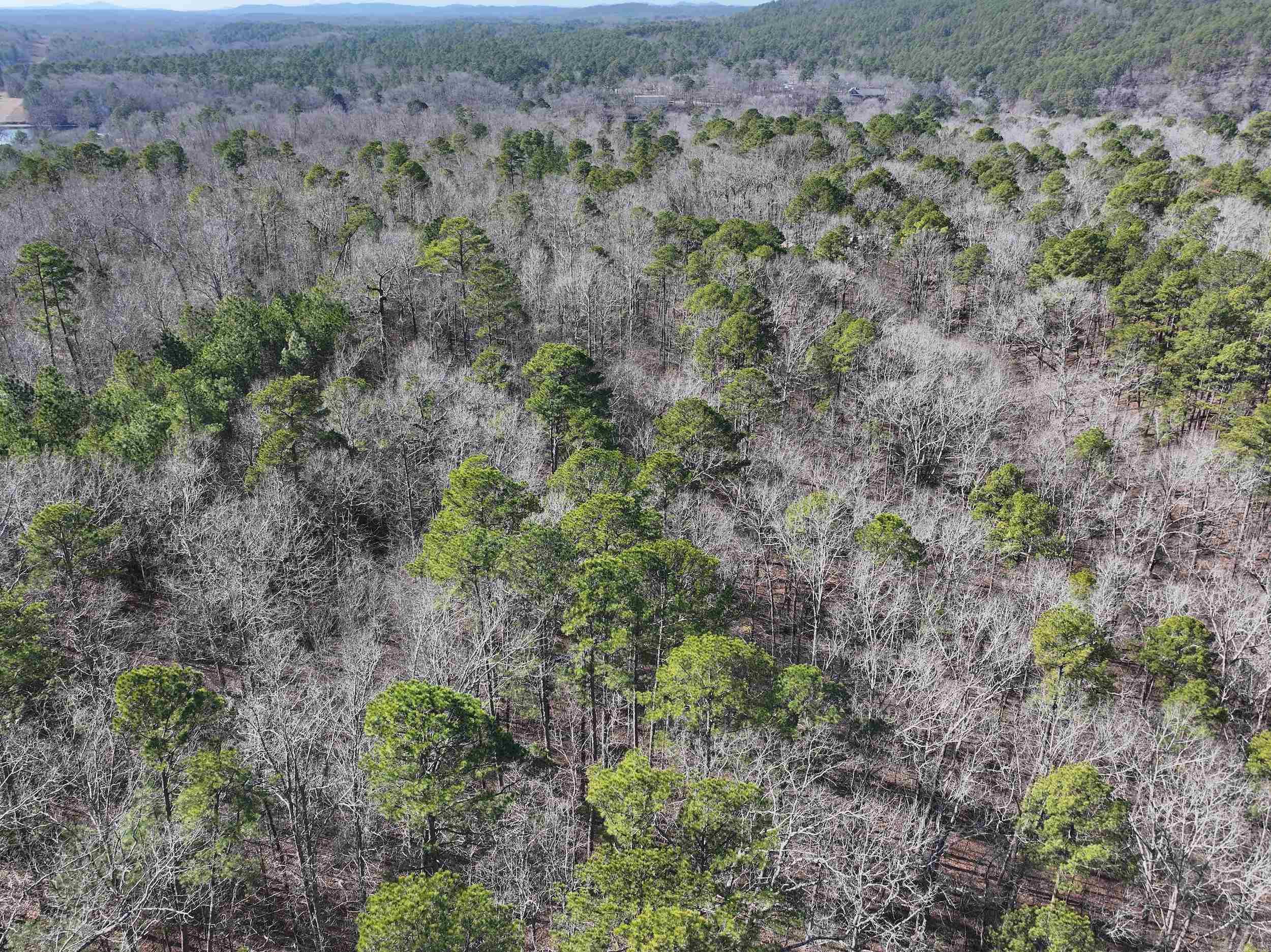105  Diamond  Hot Springs, AR