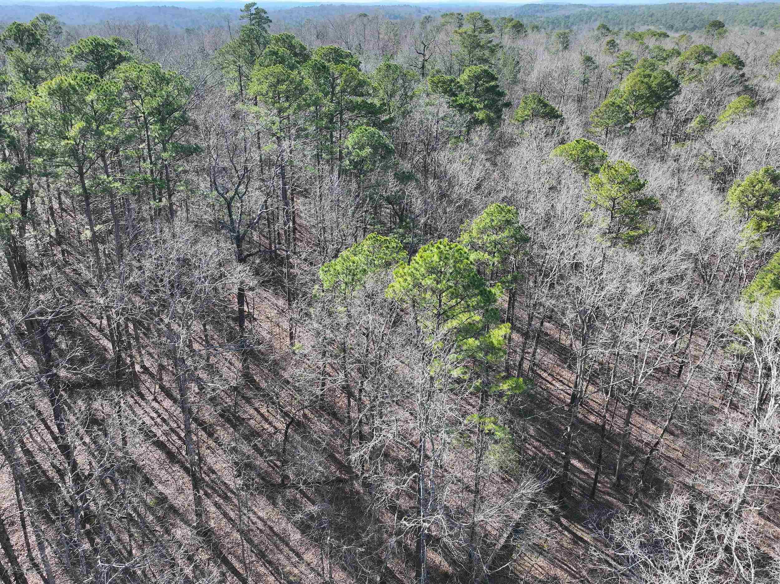 105  Diamond  Hot Springs, AR