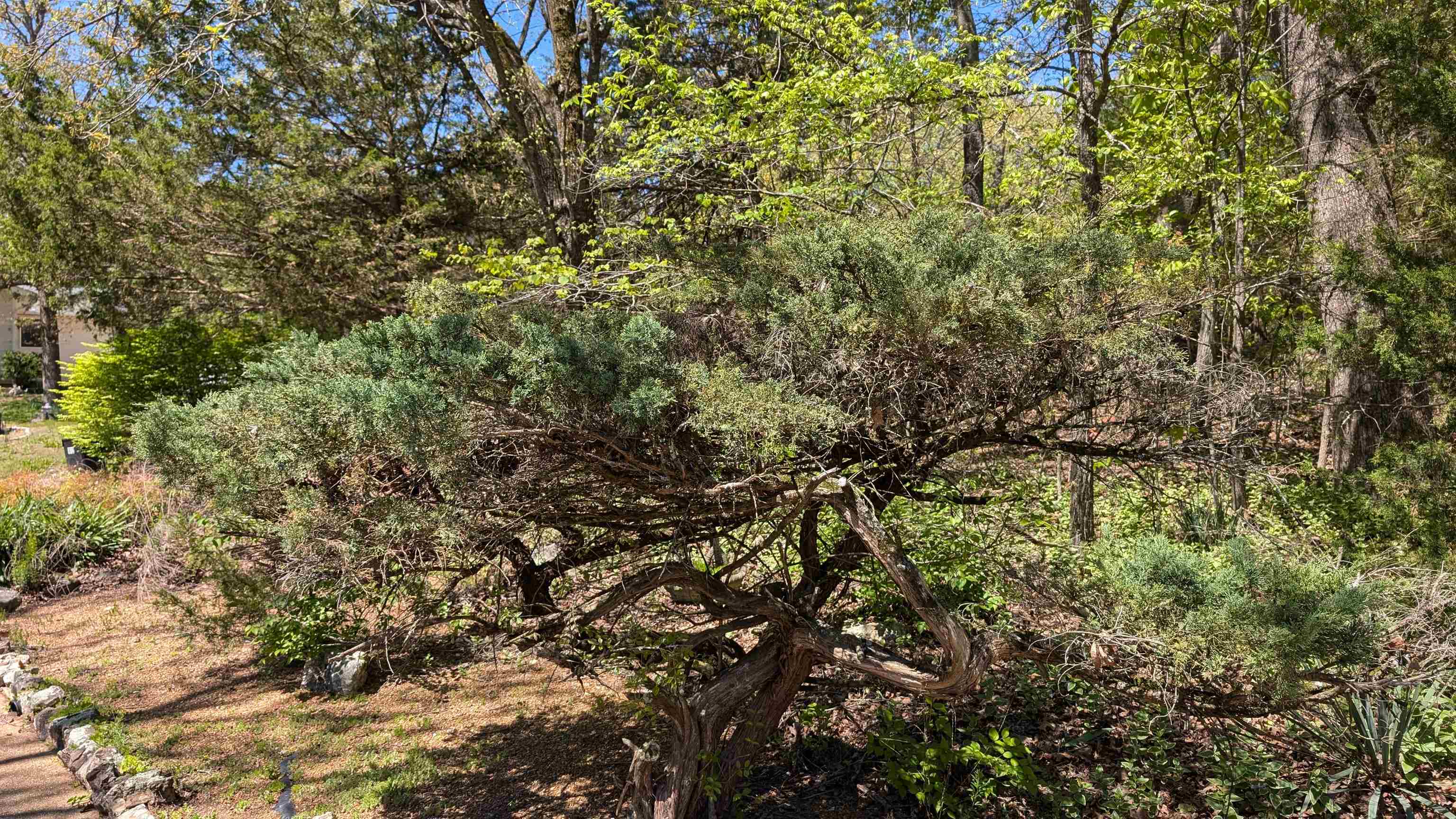 1012  Fairwater  Horseshoe Bend, AR