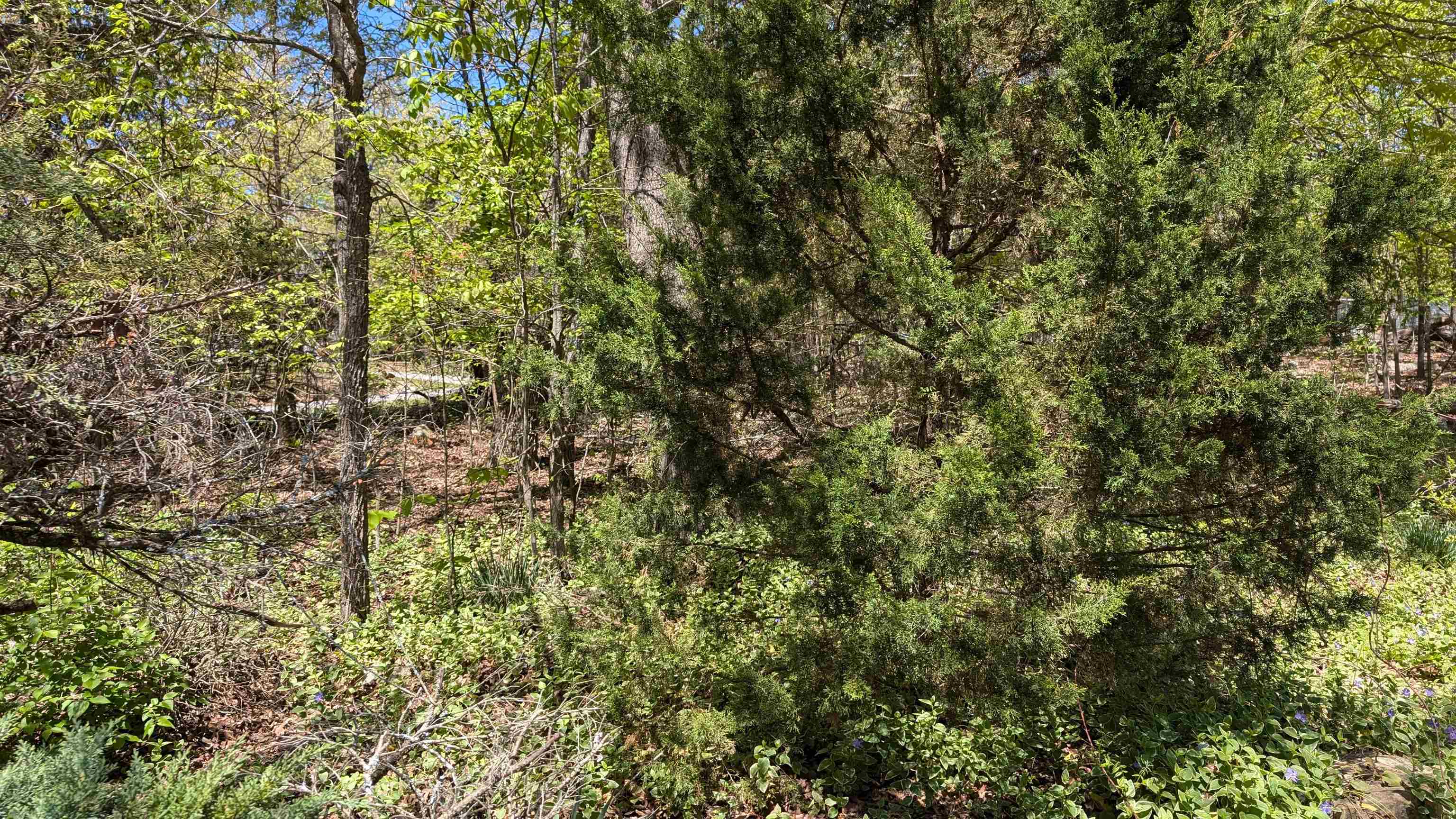 1012  Fairwater  Horseshoe Bend, AR