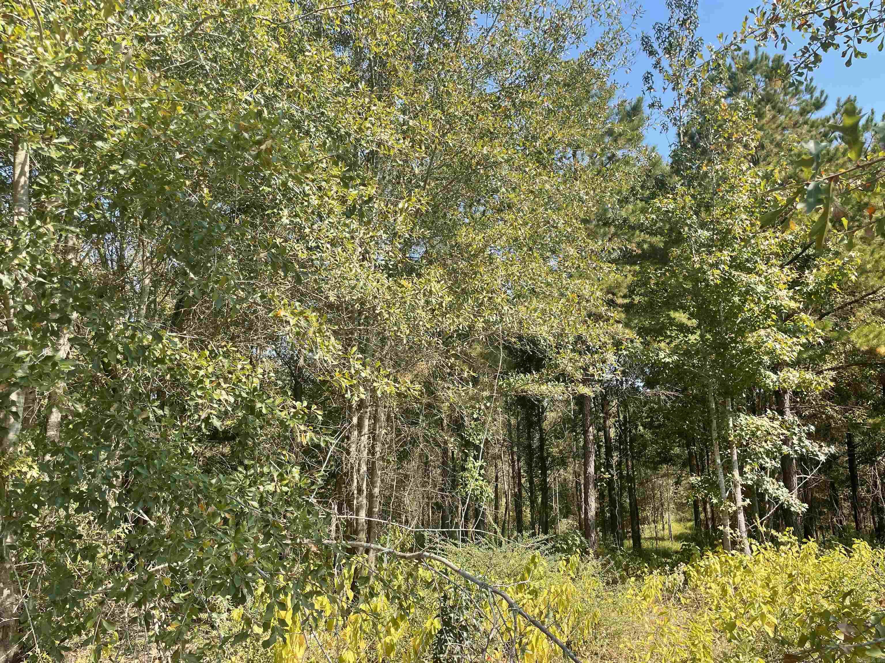Lot 46  Creekwood Addition  Texarkana, AR