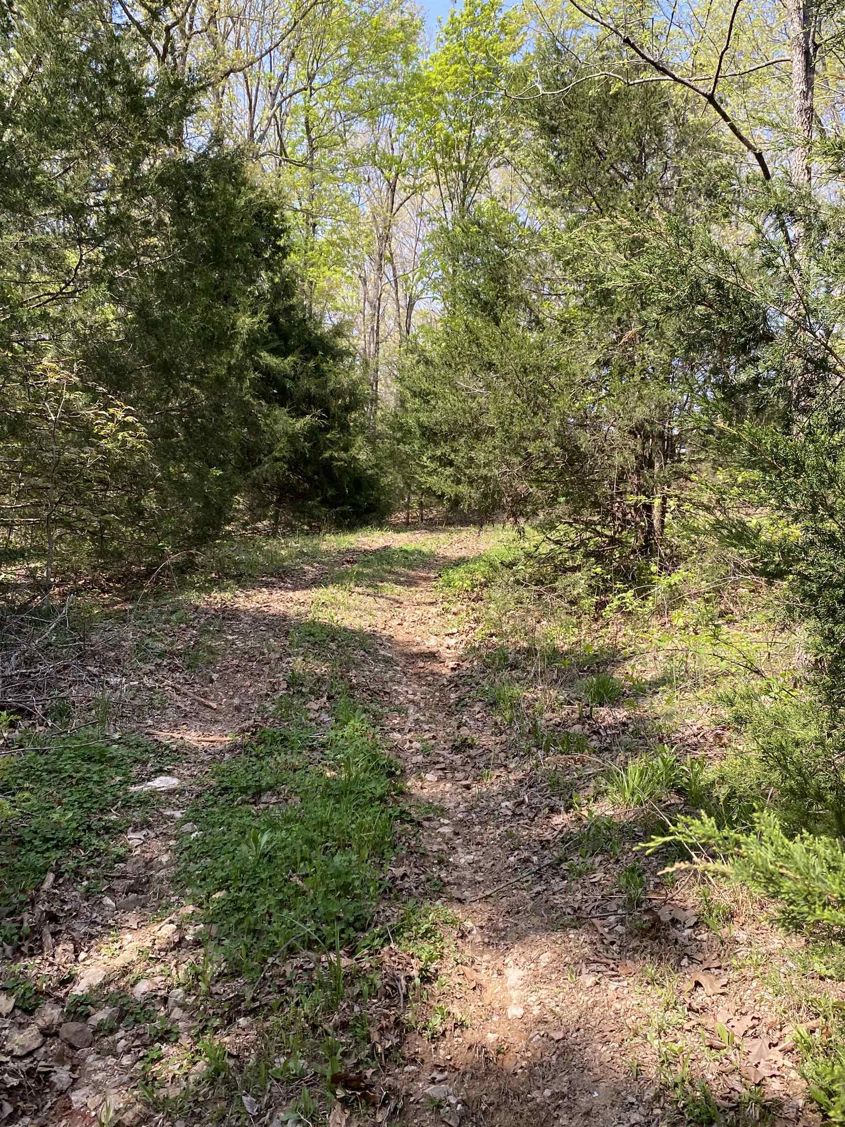 905  River  Hardy, AR