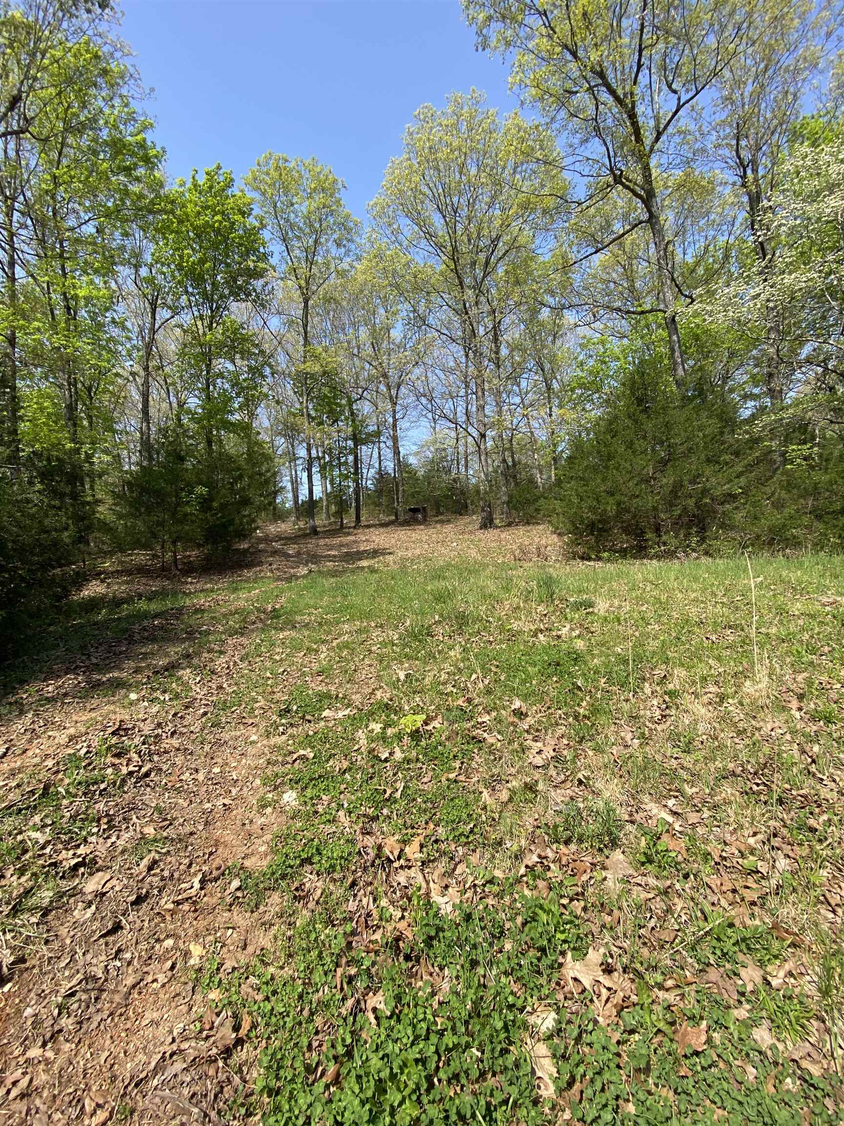 905  River  Hardy, AR