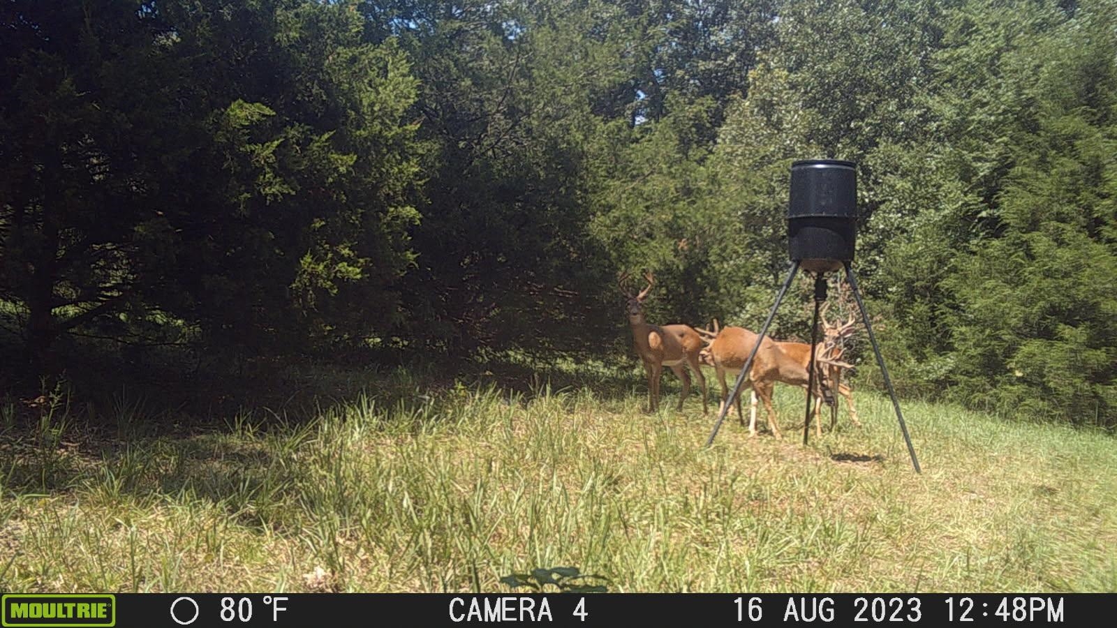 905  River  Hardy, AR
