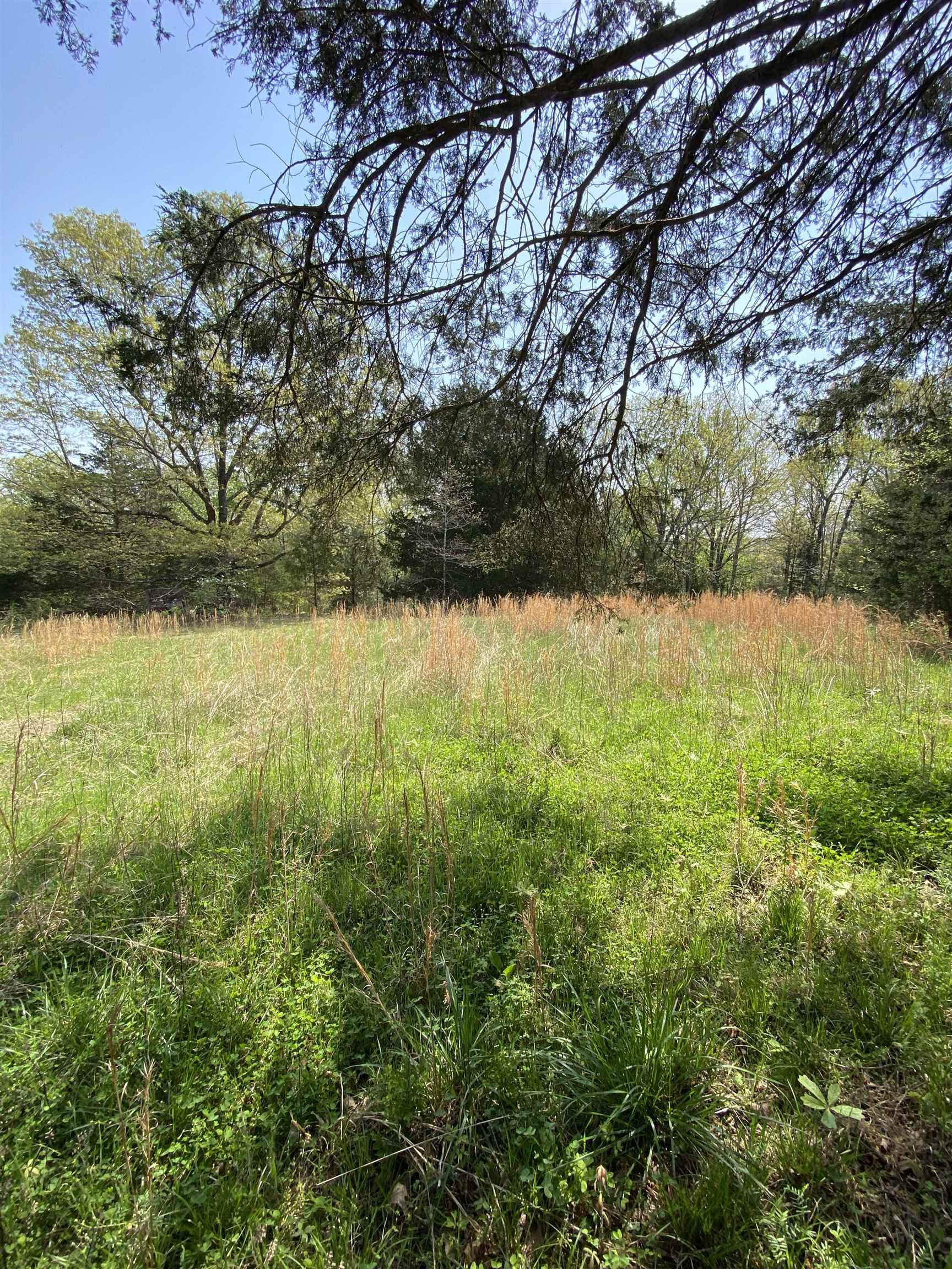 905  River  Hardy, AR