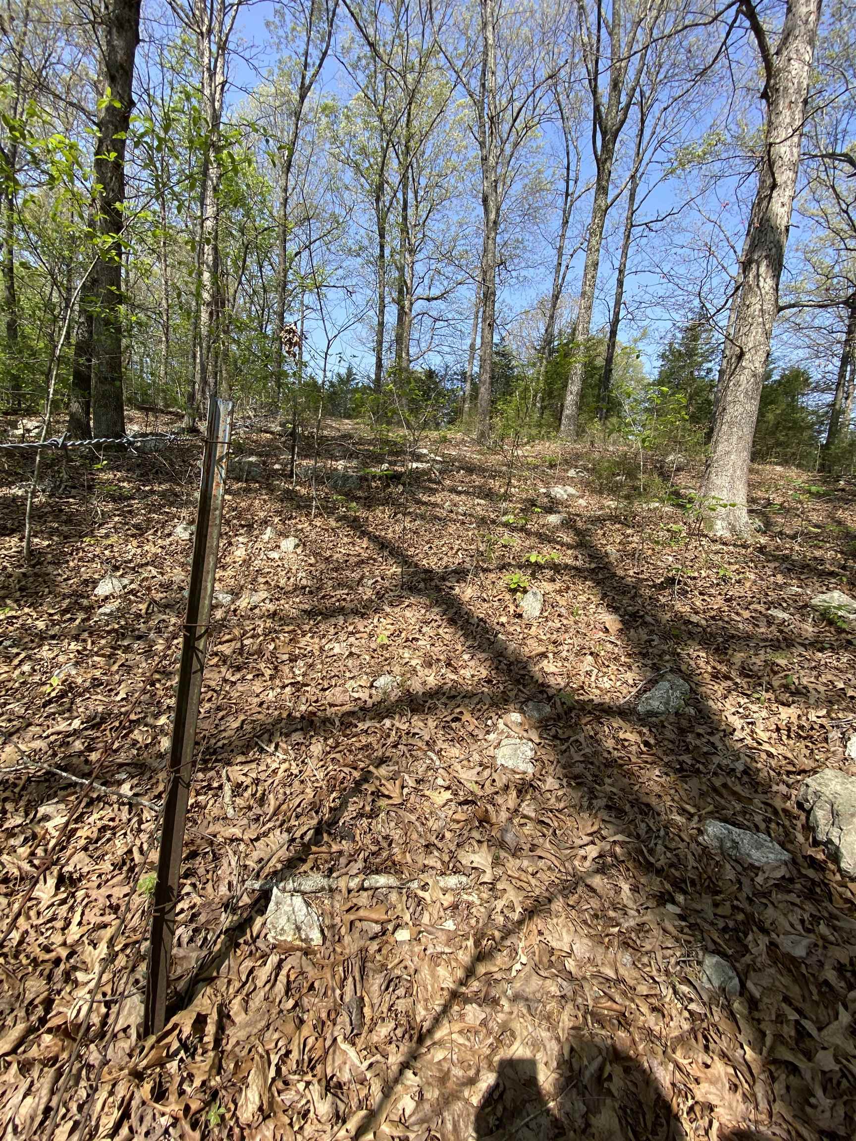 905  River  Hardy, AR