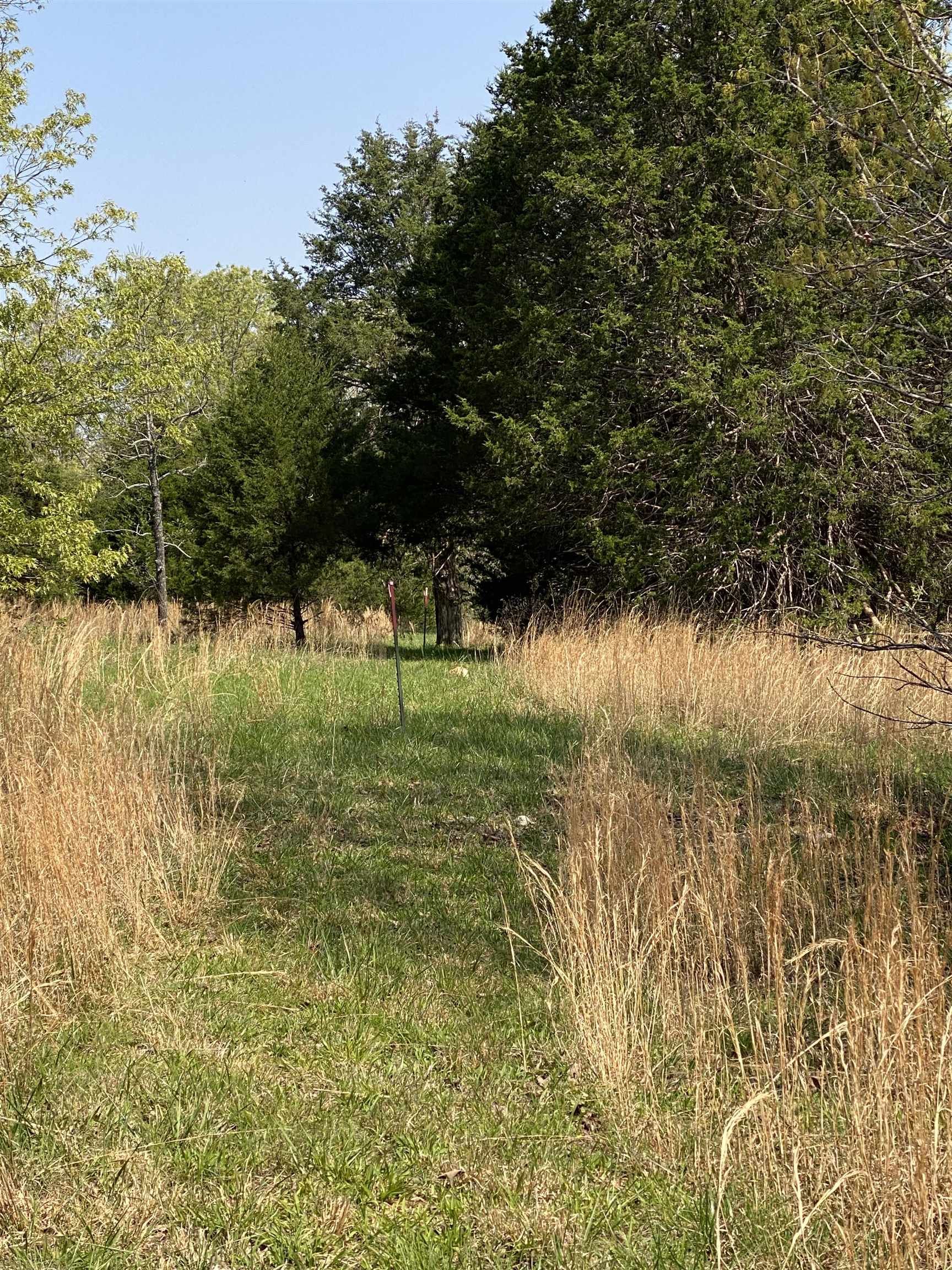 905  River  Hardy, AR