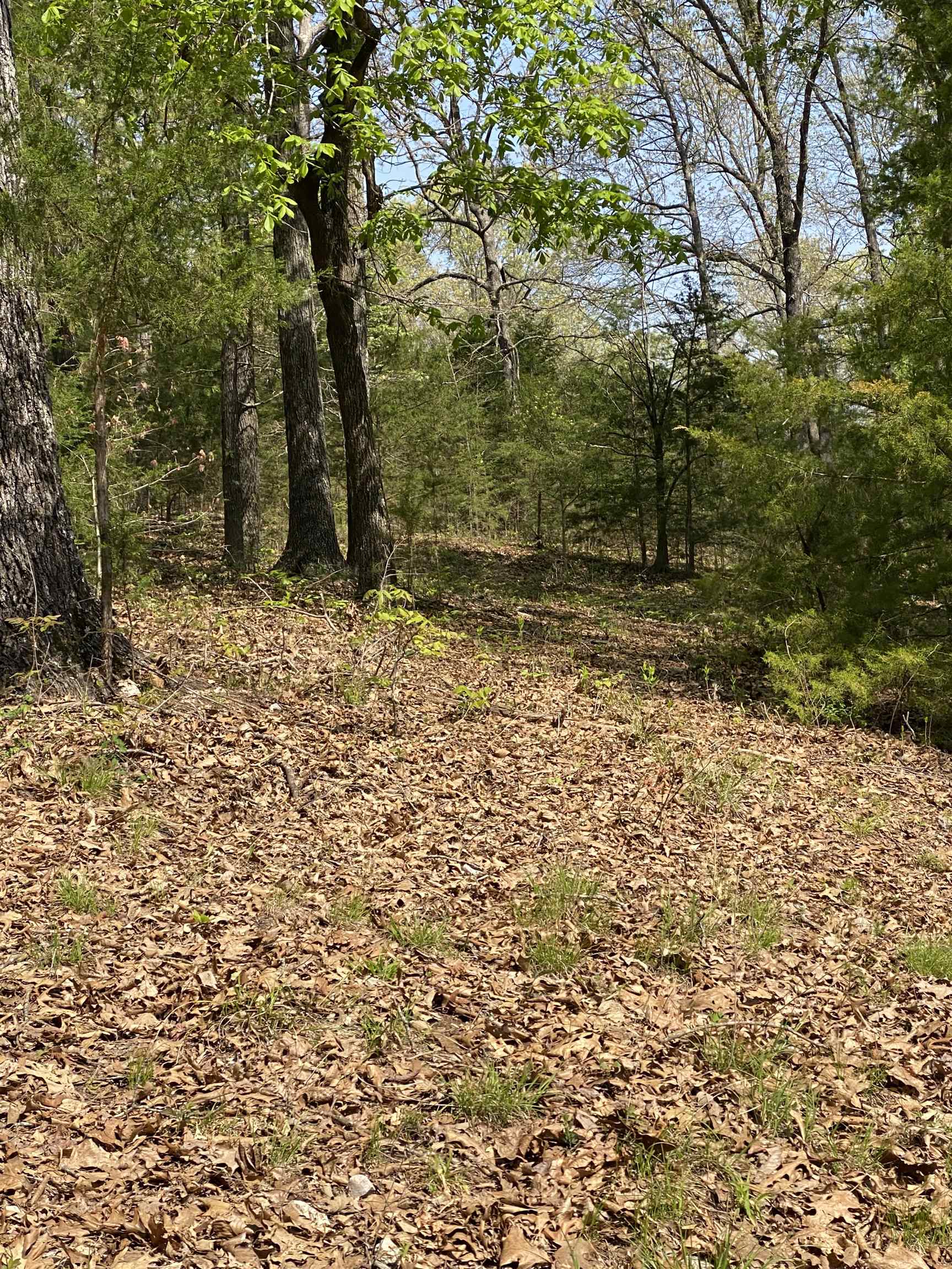 905  River  Hardy, AR