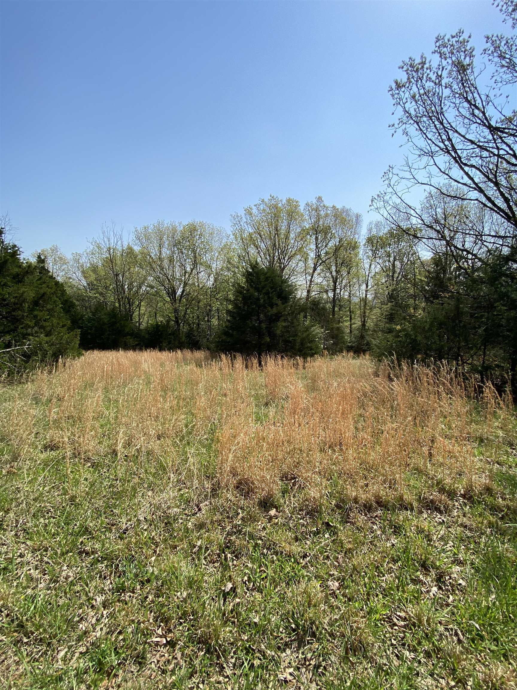 905  River  Hardy, AR