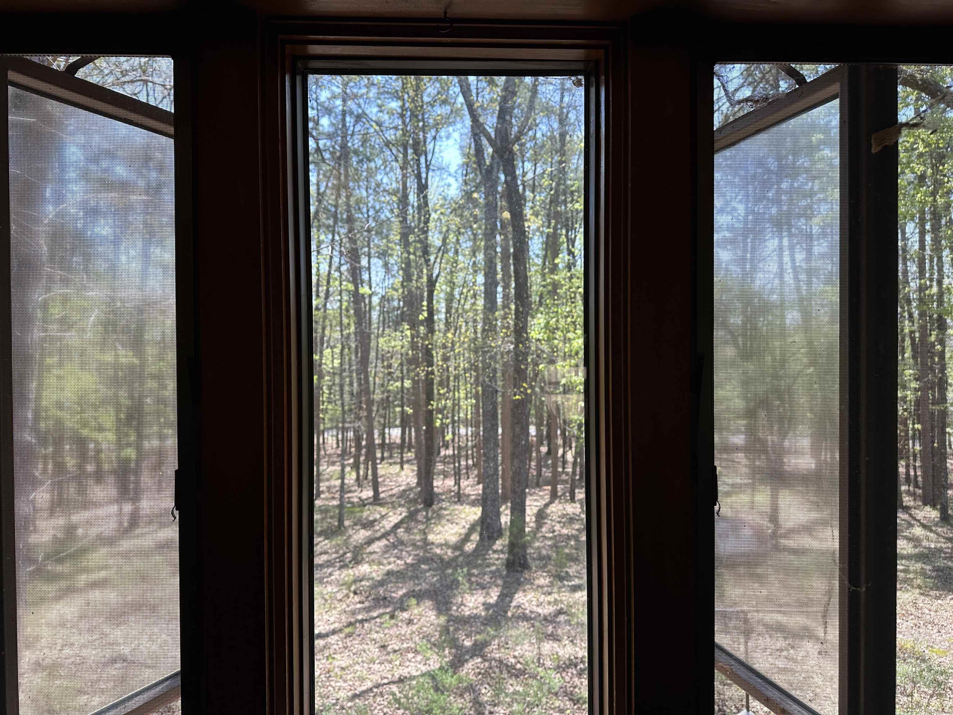 149  LumberJack LN  Fairfield Bay, AR