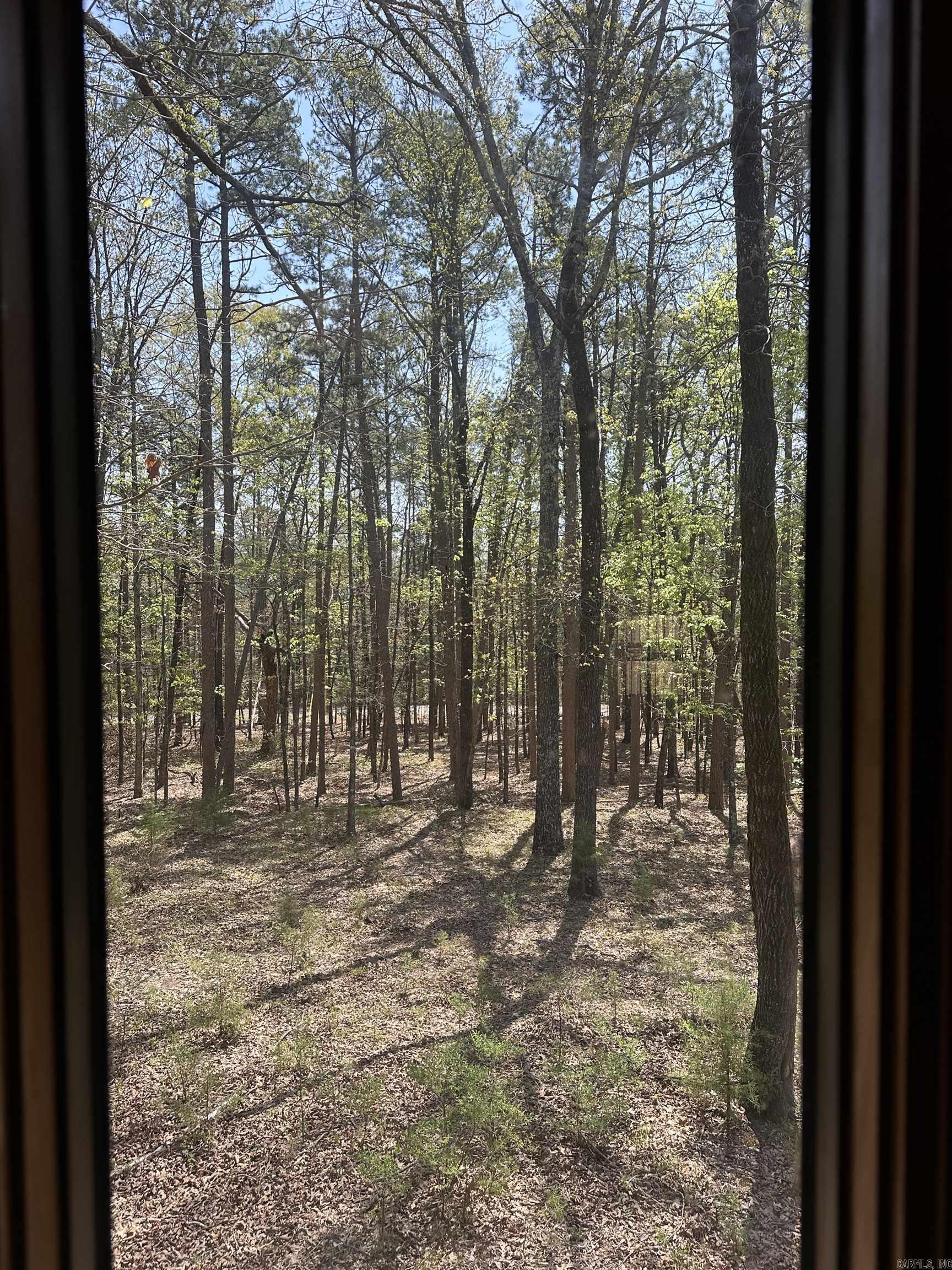 149  LumberJack LN  Fairfield Bay, AR