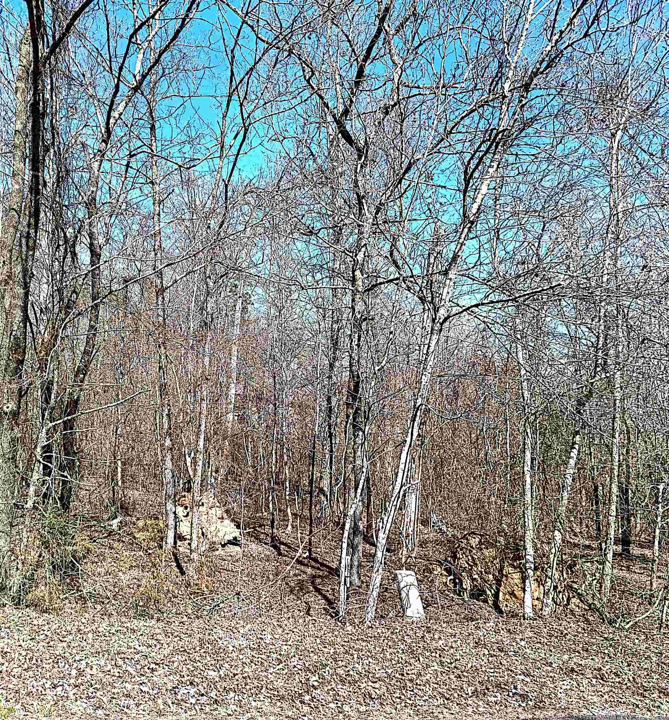 64  Cifuentes  Hot Springs Village, AR