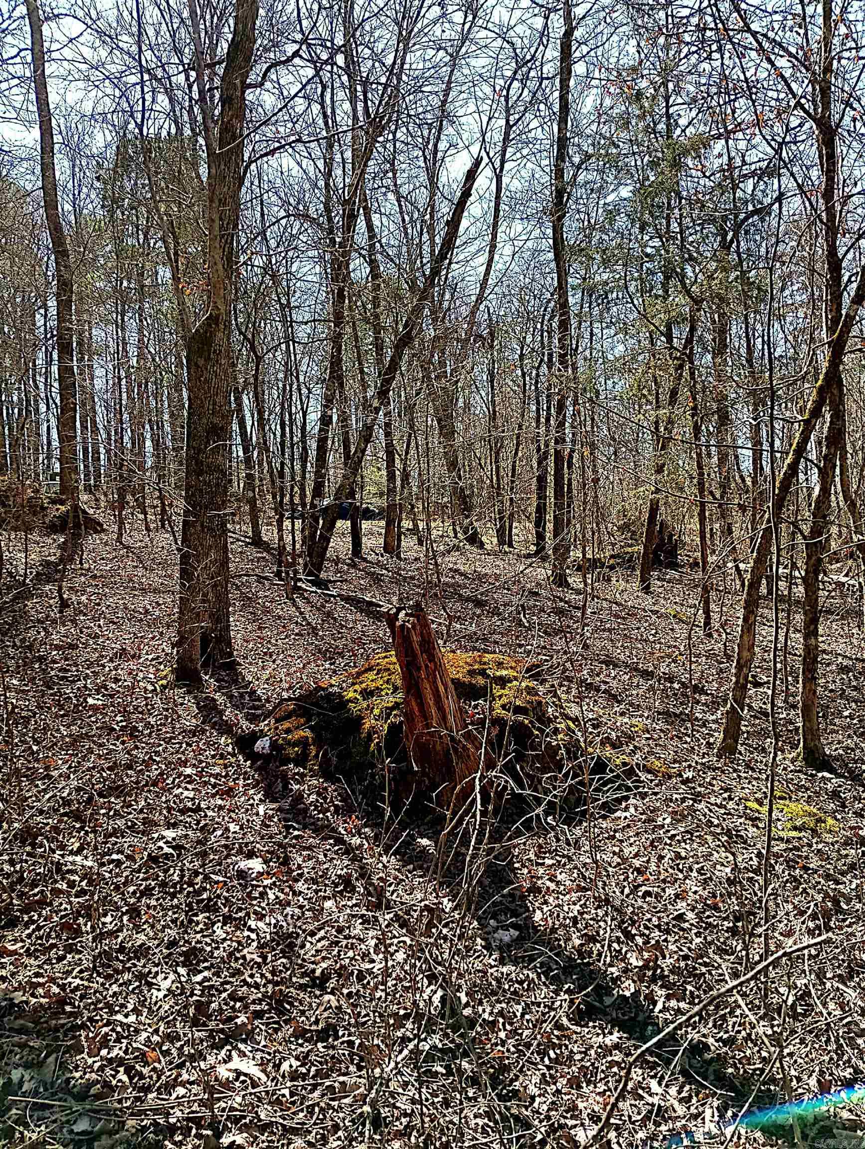 64  Cifuentes  Hot Springs Village, AR