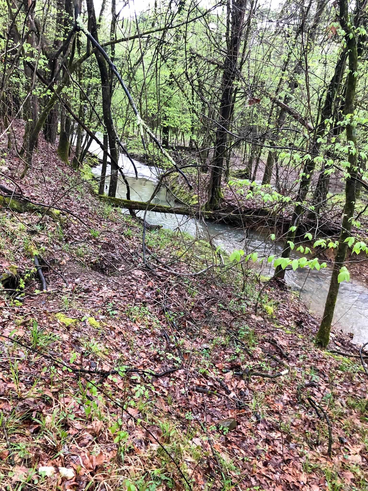 46  Hickory Hill  Mount Ida, AR