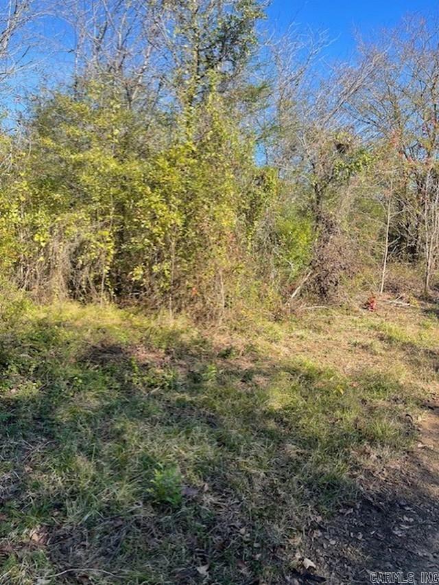   Goff  Dyer, AR