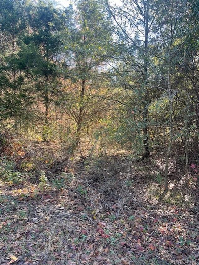   Goff  Dyer, AR