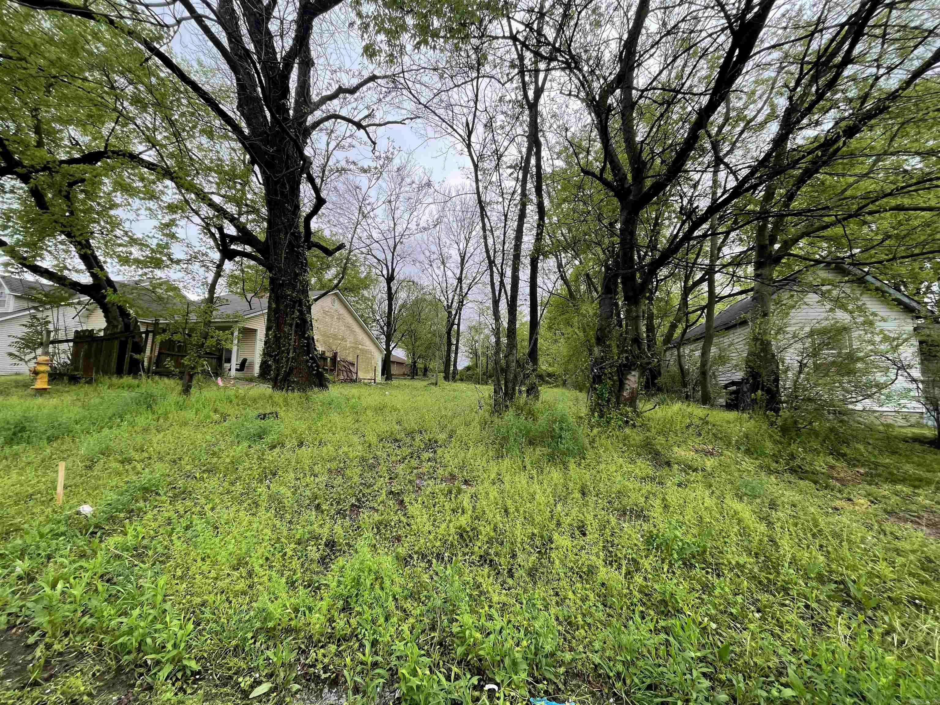 1417  Lyman Street  Fort Smith, AR