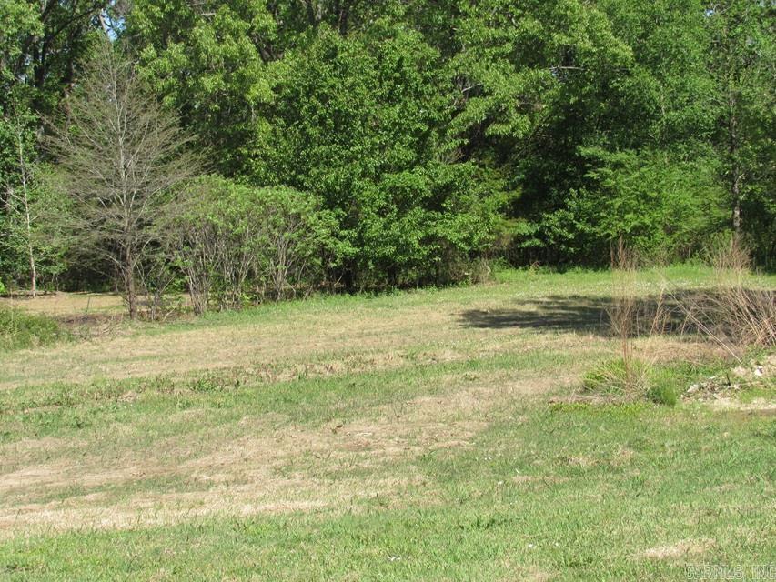 1036 Tippitt Rd  Austin, AR