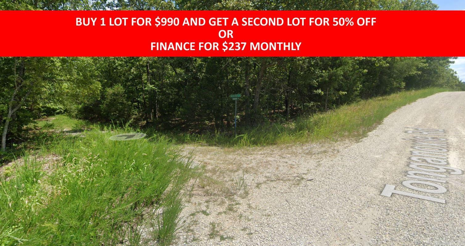 0  Saponi  Cherokee Village, AR